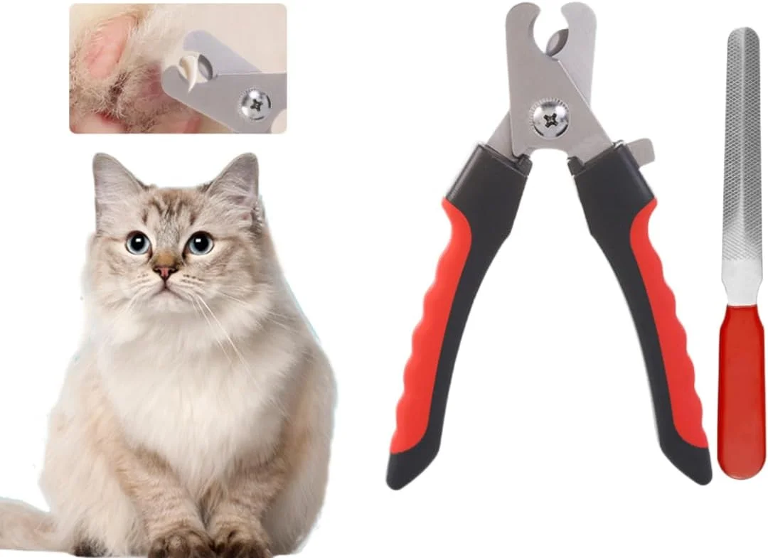 ناخن گیر سگ برای نژادهای بزرگ، متوسط و کوچک، مناسب برای گربه ها، خرگوش ها و خوکچه هندی با قفل ایمنی و محافظ برای جلوگیری از کوتاه کردن بیش از حد (15 سانتی متر) ناخن گیر سگ برای نژادهای بزرگ، متوسط و کوچک، مناسب برای گربه ها، خرگوش ها و خوکچه هندی با قفل ایمنی و محافظ برای جلوگیری از کوتاه کردن بیش از حد (15 سانتی متر)