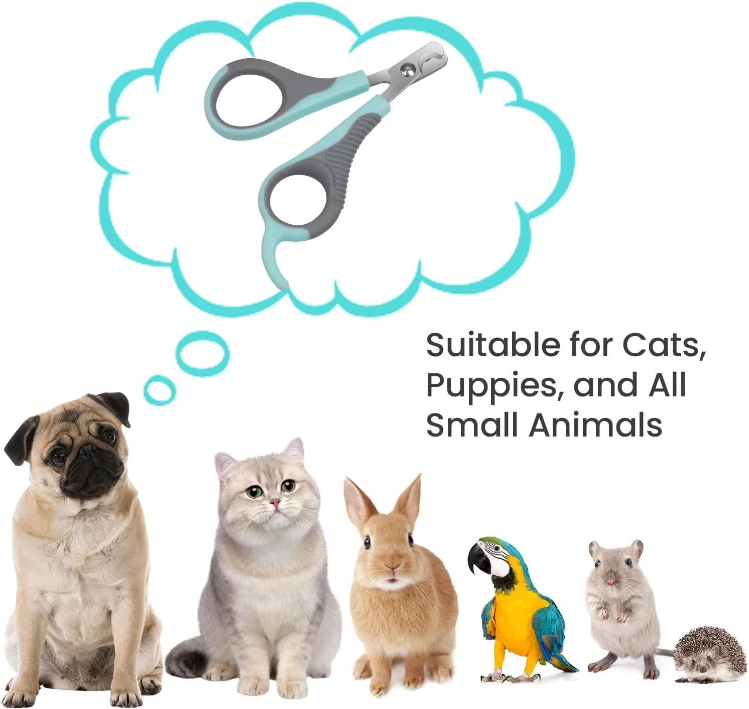 ناخن گیر گربه، ناخن گیر پنجه استیل ضد زنگ حرفه ای با سوهان ناخن، ناخن گیر پنجه گربه، ناخن گیر حیوانات خانگی برای گربه ها، بچه گربه ها، همسترها، خرگوش ها، پرندگان و حیوانات نژاد کوچک ناخن گیر گربه، ناخن گیر پنجه استیل ضد زنگ حرفه ای با سوهان ناخن، ناخن گیر پنجه گربه، ناخن گیر حیوانات خانگی برای گربه ها، بچه گربه ها، همسترها، خرگوش ها، پرندگان و حیوانات نژاد کوچک