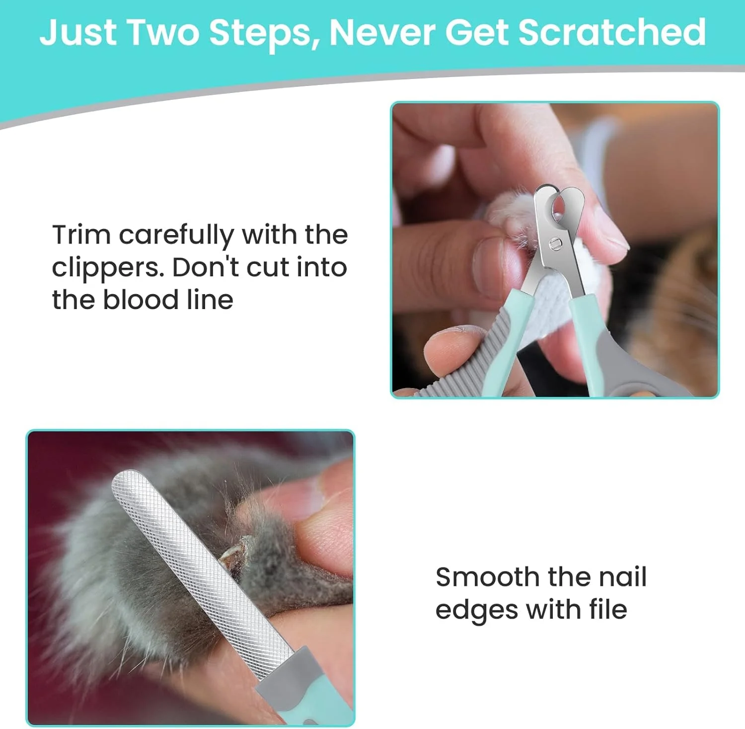 ناخن گیر گربه، ناخن گیر پنجه استیل ضد زنگ حرفه ای با سوهان ناخن، ناخن گیر پنجه گربه، ناخن گیر حیوانات خانگی برای گربه ها، بچه گربه ها، همسترها، خرگوش ها، پرندگان و حیوانات نژاد کوچک ناخن گیر گربه، ناخن گیر پنجه استیل ضد زنگ حرفه ای با سوهان ناخن، ناخن گیر پنجه گربه، ناخن گیر حیوانات خانگی برای گربه ها، بچه گربه ها، همسترها، خرگوش ها، پرندگان و حیوانات نژاد کوچک