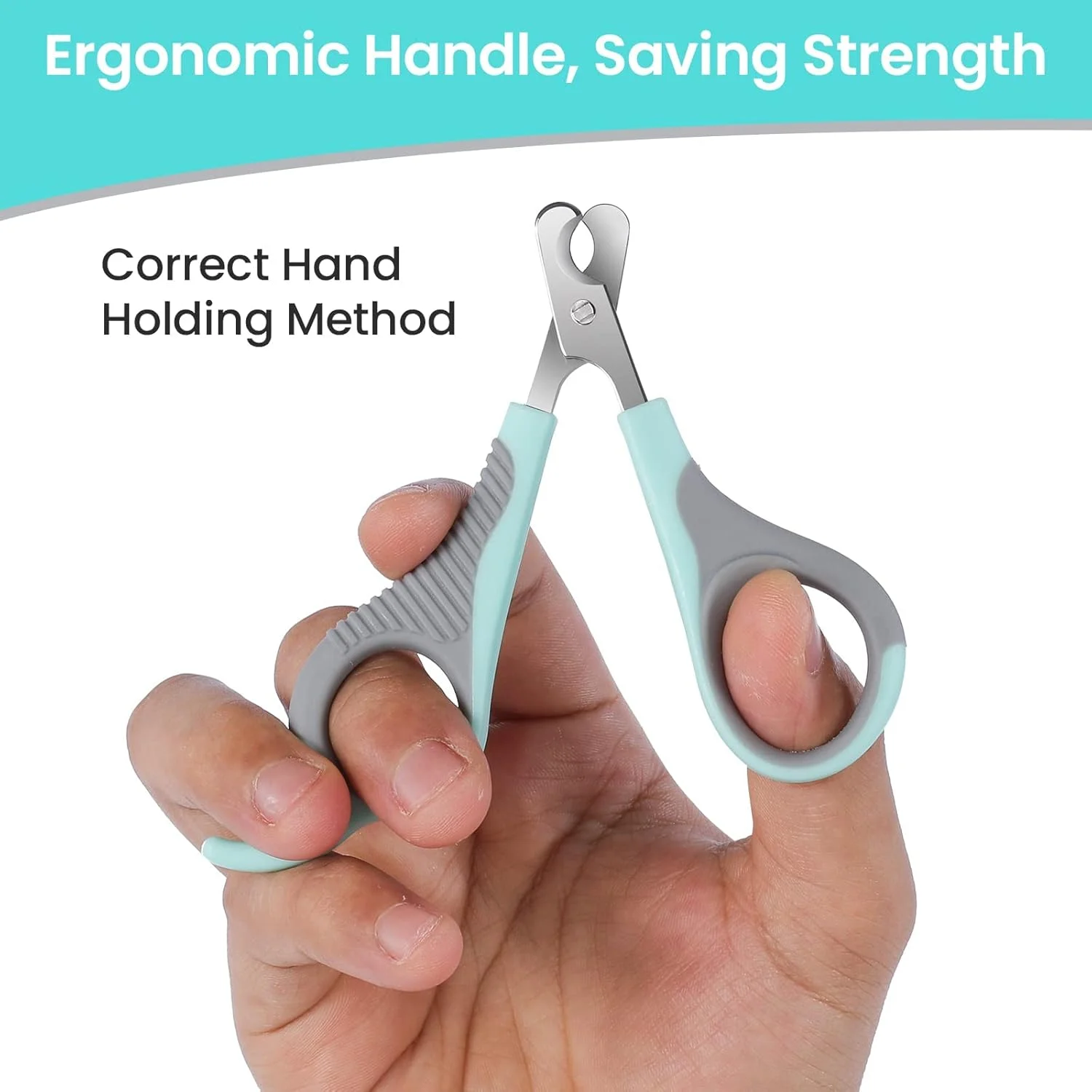 ناخن گیر گربه، ناخن گیر پنجه استیل ضد زنگ حرفه ای با سوهان ناخن، ناخن گیر پنجه گربه، ناخن گیر حیوانات خانگی برای گربه ها، بچه گربه ها، همسترها، خرگوش ها، پرندگان و حیوانات نژاد کوچک ناخن گیر گربه، ناخن گیر پنجه استیل ضد زنگ حرفه ای با سوهان ناخن، ناخن گیر پنجه گربه، ناخن گیر حیوانات خانگی برای گربه ها، بچه گربه ها، همسترها، خرگوش ها، پرندگان و حیوانات نژاد کوچک