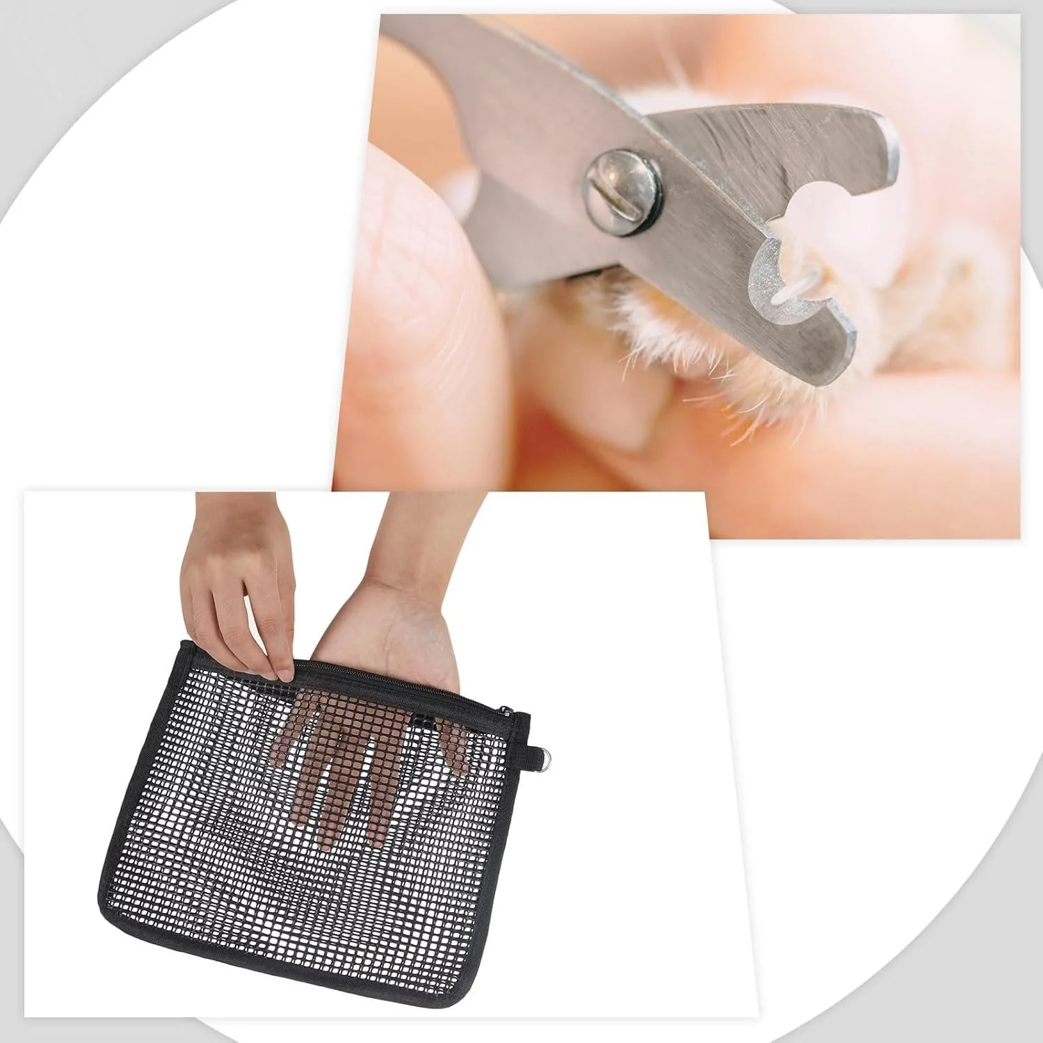 ست ۲ عددی کیسه اصلاح ناخن سنجاب پرنده، کیسه ایمن توری برای نظافت حیوانات کوچک، موش، راسو، نگهدارنده ناخن گیر، نرم و قابل تنفس، ۲۰x۲۵ سانتی متر، مشکی ست ۲ عددی کیسه اصلاح ناخن سنجاب پرنده، کیسه ایمن توری برای نظافت حیوانات کوچک، موش، راسو، نگهدارنده ناخن گیر، نرم و قابل تنفس، ۲۰x۲۵ سانتی متر، مشکی