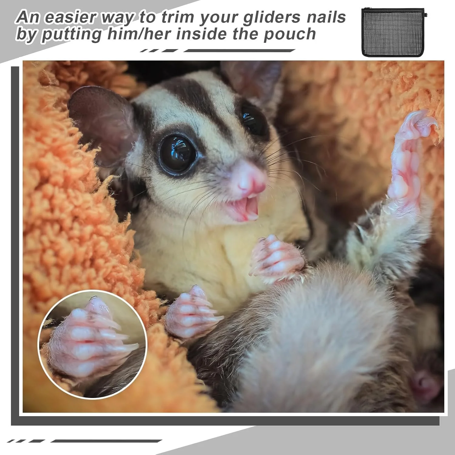 ست ۲ عددی کیسه اصلاح ناخن سنجاب پرنده، کیسه ایمن توری برای نظافت حیوانات کوچک، موش، راسو، نگهدارنده ناخن گیر، نرم و قابل تنفس، ۲۰x۲۵ سانتی متر، مشکی ست ۲ عددی کیسه اصلاح ناخن سنجاب پرنده، کیسه ایمن توری برای نظافت حیوانات کوچک، موش، راسو، نگهدارنده ناخن گیر، نرم و قابل تنفس، ۲۰x۲۵ سانتی متر، مشکی