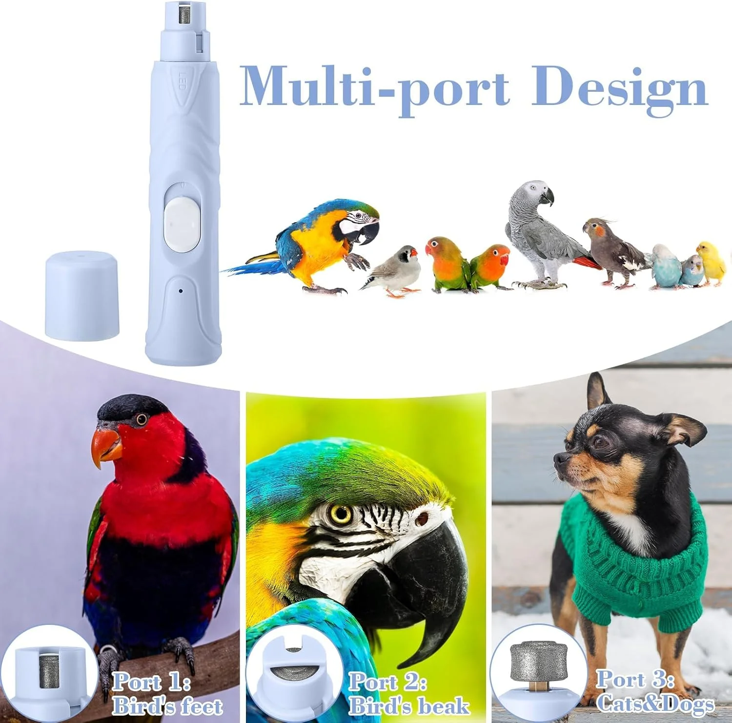 ست دو عددی سوهان و قیچی ناخن پرندگان با چراغ LED - ابزار پیرایش ناخن پرندگان ایمن و آسان برای طوطی ها، مرغ عشق ها، پاراکیت ها، کانورها، فنچ ها، مرغ مینا ست دو عددی سوهان و قیچی ناخن پرندگان با چراغ LED - ابزار پیرایش ناخن پرندگان ایمن و آسان برای طوطی ها، مرغ عشق ها، پاراکیت ها، کانورها، فنچ ها، مرغ مینا