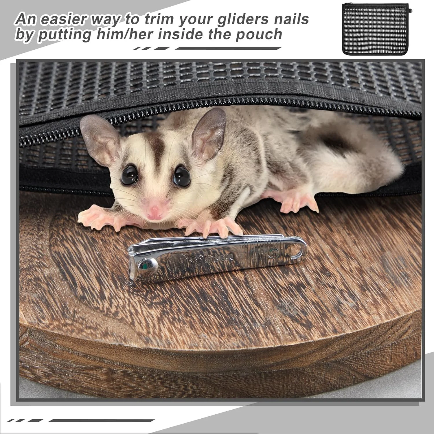 ست ۲ عددی کیسه اصلاح ناخن سنجاب پرنده، کیسه ایمن توری برای نظافت حیوانات کوچک، موش، راسو، نگهدارنده ناخن گیر، نرم و قابل تنفس، ۲۰x۲۵ سانتی متر، مشکی ست ۲ عددی کیسه اصلاح ناخن سنجاب پرنده، کیسه ایمن توری برای نظافت حیوانات کوچک، موش، راسو، نگهدارنده ناخن گیر، نرم و قابل تنفس، ۲۰x۲۵ سانتی متر، مشکی