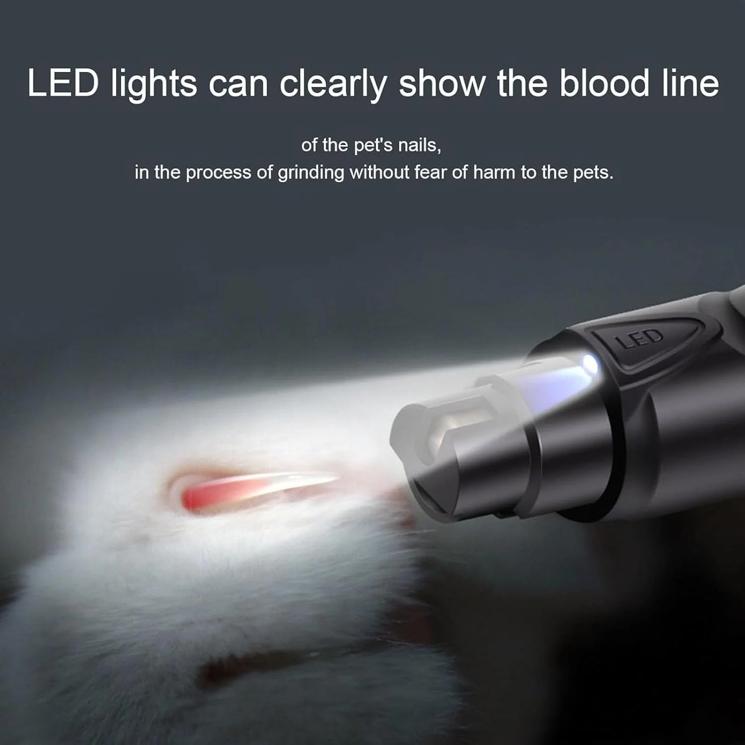 ست سوهان و ناخن گیر پرندگان با چراغ LED، ابزار پیرایش ایمن و آسان برای ناخن پرندگان، مناسب برای طوطی ها، مرغ عشق ها، پاراکیت ها، کانورها، فنچ ها، مرغ مینا (مشکی) ست سوهان و ناخن گیر پرندگان با چراغ LED، ابزار پیرایش ایمن و آسان برای ناخن پرندگان، مناسب برای طوطی ها، مرغ عشق ها، پاراکیت ها، کانورها، فنچ ها، مرغ مینا (مشکی)