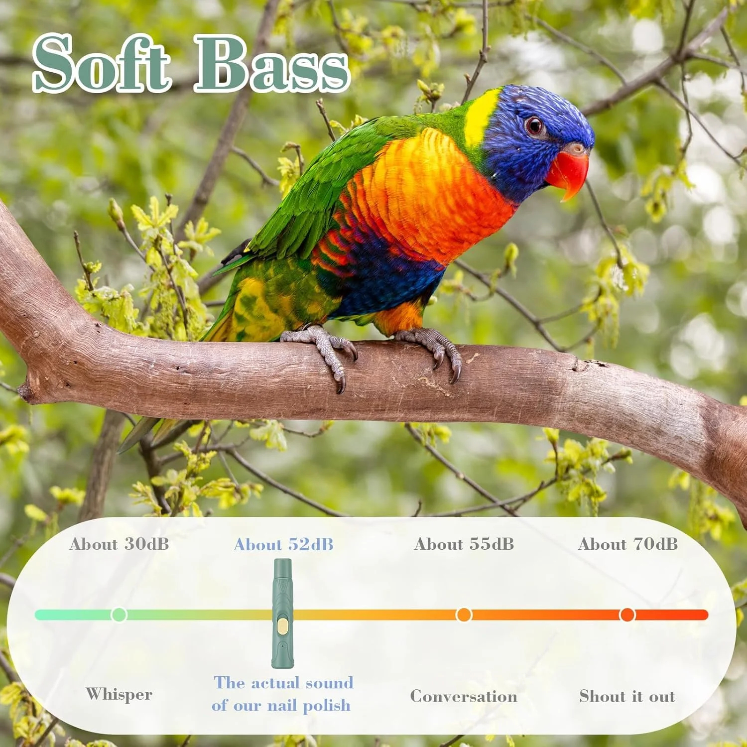 ست سوهان و ناخن گیر پرندگان با چراغ LED - ابزار پیرایش ایمن و آسان برای طوطی ها، مرغ عشق ها، کانورها، فنچ ها، مرغ مینا (سبز) ست سوهان و ناخن گیر پرندگان با چراغ LED - ابزار پیرایش ایمن و آسان برای طوطی ها، مرغ عشق ها، کانورها، فنچ ها، مرغ مینا (سبز)