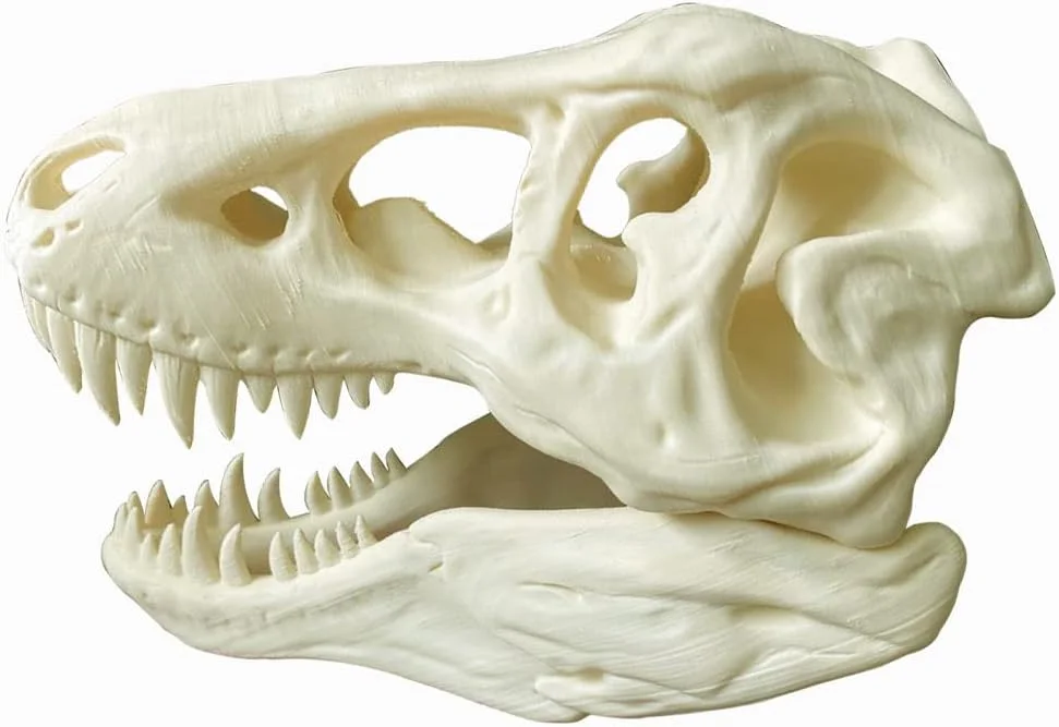 فیلامنت PLA MAX سفید استخوانی CC3D، فیلامنت PLA 1.75 میلی‌متری 1 کیلوگرمی برای پرینتر سه بعدی، 2.2 پوندی، مواد پرینت سه بعدی FDM، فیلامنت PLA+ استخوانی، فیلامنت PLA Pro Plus قوی‌تر، رنگ استخوانی