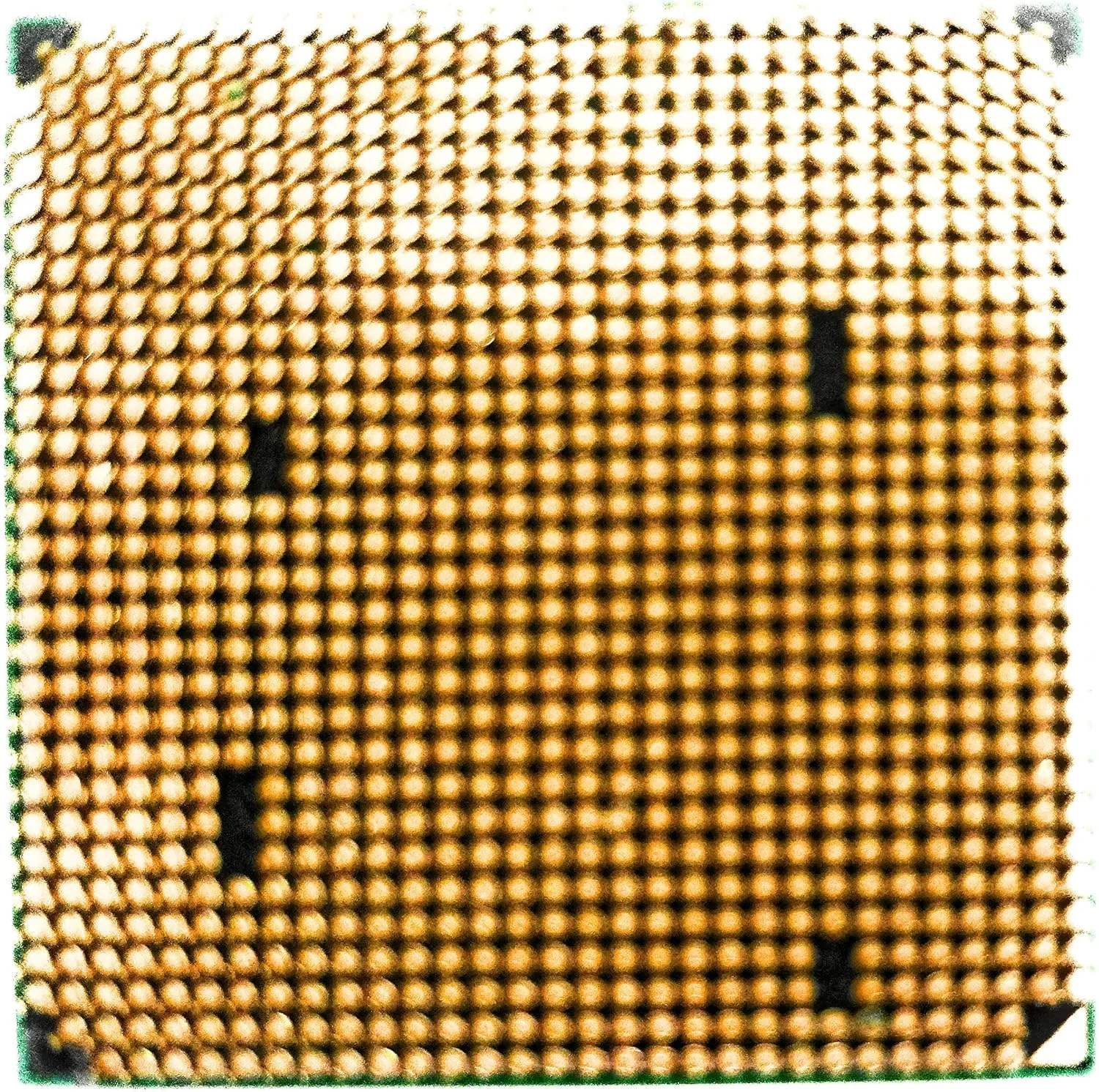 پردازنده دو هسته ای AMD Phenom II X2 555 Black Edition Callisto 3.2 گیگاهرتز با 2x512 کیلوبایت حافظه نهان L2 سوکت AM3 80W - نسخه خرده فروشی HDZ555WFGMBOX پردازنده دو هسته ای AMD Phenom II X2 555 Black Edition Callisto 3.2 گیگاهرتز با 2x512 کیلوبایت حافظه نهان L2 سوکت AM3 80W - نسخه خرده فروشی HDZ555WFGMBOX