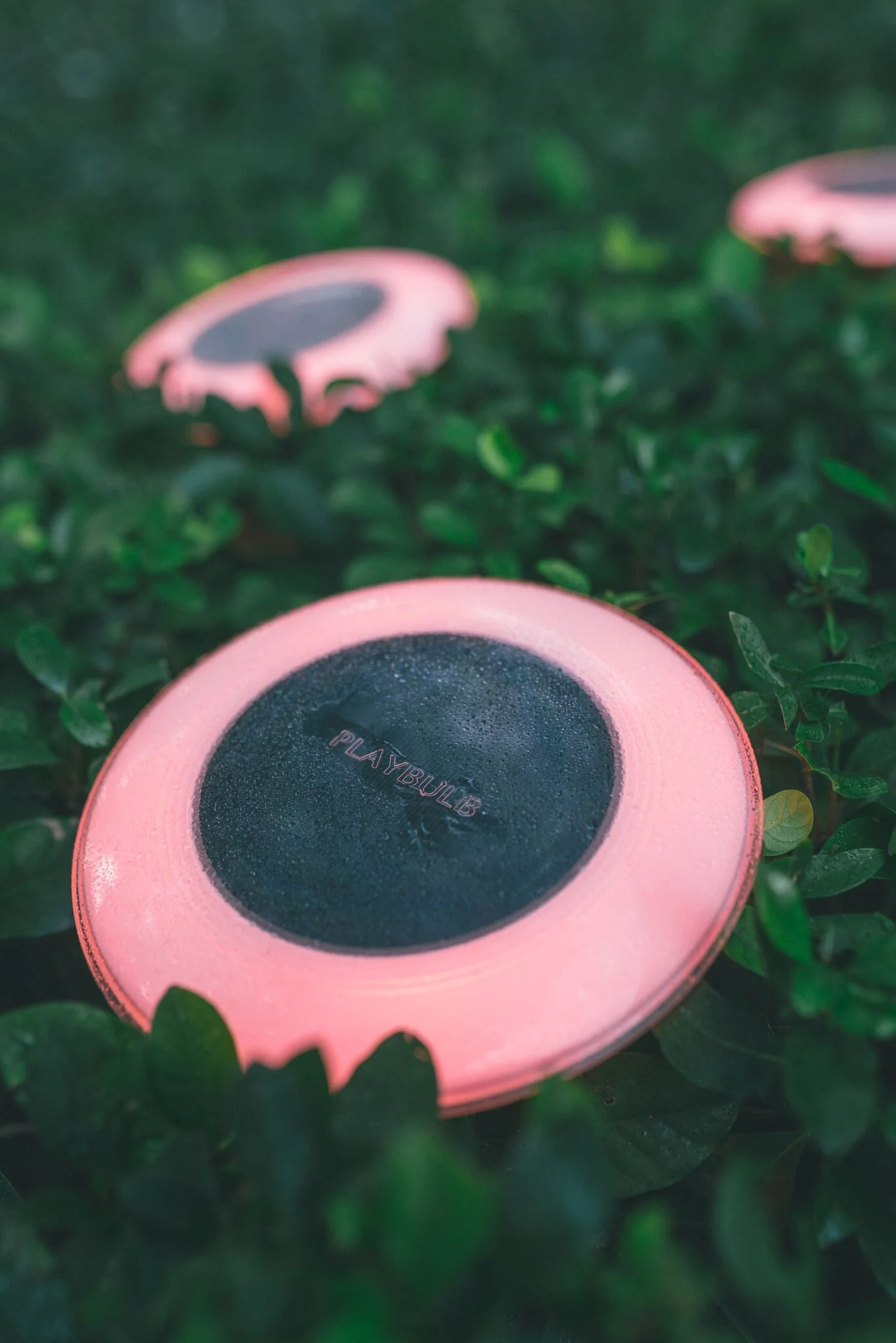 چراغ هوشمند خورشیدی Mipow Playbulb Solar چراغ هوشمند خورشیدی Mipow Playbulb Solar