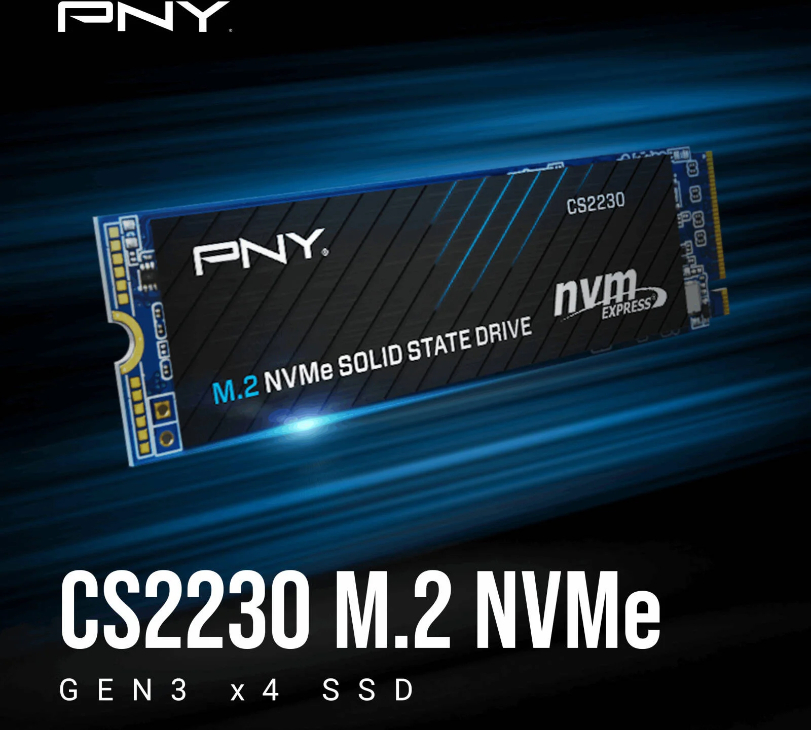 PNY CS2230 1 ترابایت M.2 NVMe PCIe 3.0 SSD داخلی، سرعت خواندن ترتیبی تا 3300 مگابایت بر ثانیه و سرعت نوشتن تا 2600 مگابایت بر ثانیه، فلش 3D NAND، پشتیبانی از SMART و TRIM، استقامت 560 ترابایت | M280CS2230-1TB-RB