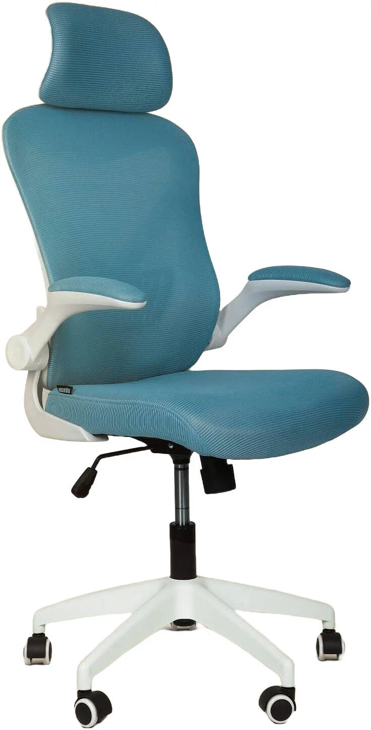 صندلی اداری ارگونومیک دروگو برای کار با بالابر گازی کلاس 3 SGS، توری تنفسی کره‌ای، دسته‌های قابل تنظیم، پشتیبانی کمری، صندلی کامپیوتر برای خانه یا دفتر کار، صندلی میز (آبی فیروزه‌ای) | DGC102