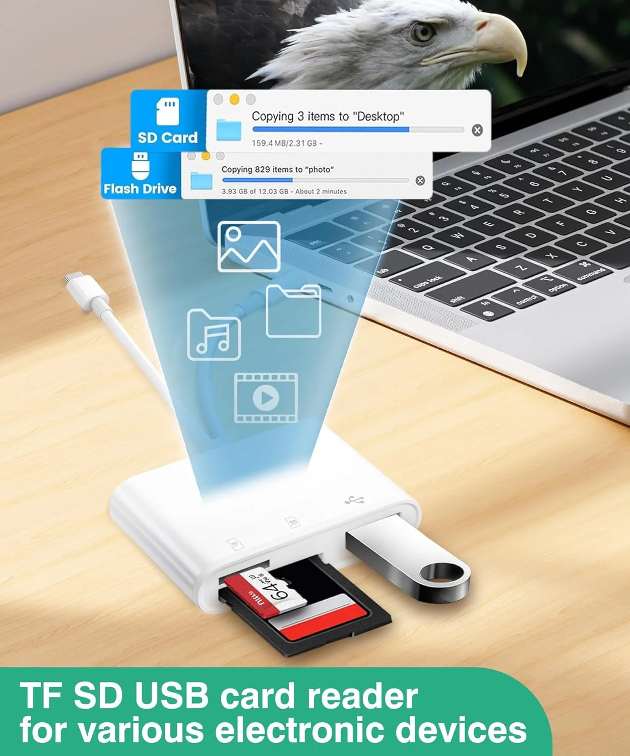 نمایشگر کارت حافظه SD دوربین تله ای، بدون نیاز به نصب برنامه، مناسب برای مشاهده تصاویر و ویدیوها از دوربین های شکار نمایشگر کارت حافظه SD دوربین تله ای، بدون نیاز به نصب برنامه، مناسب برای مشاهده تصاویر و ویدیوها از دوربین های شکار