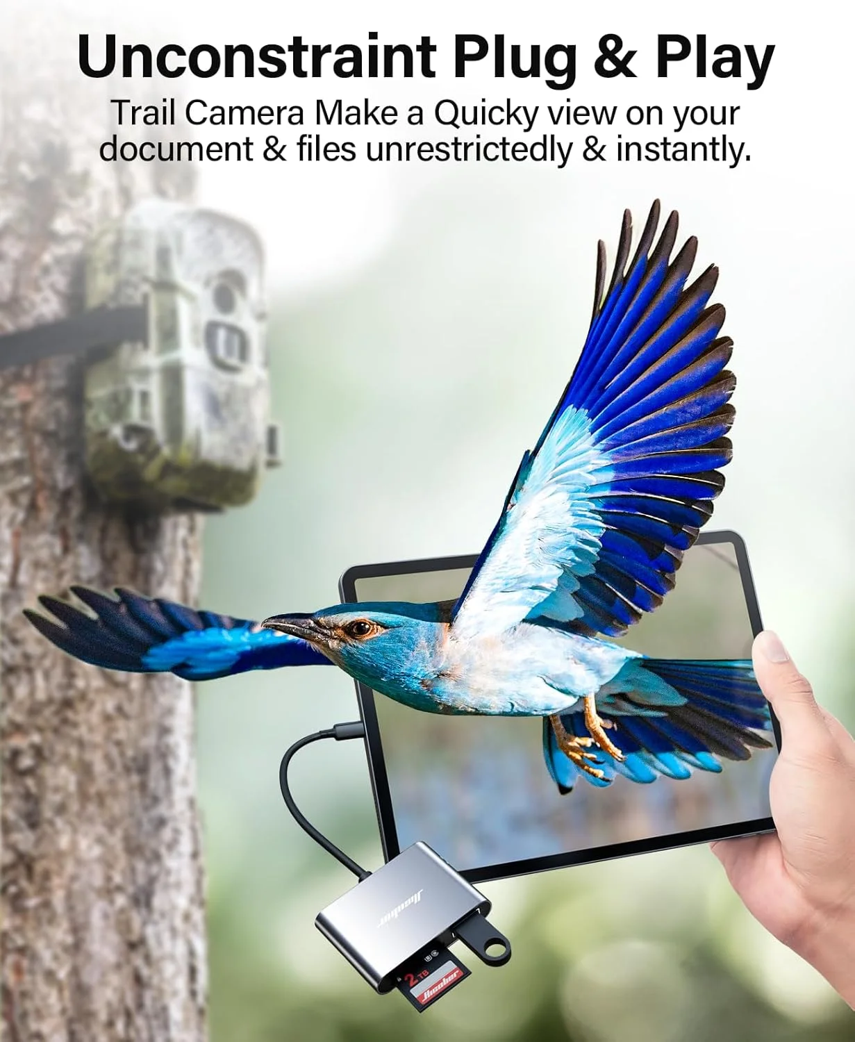 تبدیل USB C به SD، کارت خوان حافظه Micro SD، آداپتور کارت خوان Type C به SD با ظرفیت 2 ترابایت برای مک بوک، دوربین، اندروید، ویندوز، لینوکس و سایر دستگاه های Type C - خاکستری فضایی تبدیل USB C به SD، کارت خوان حافظه Micro SD، آداپتور کارت خوان Type C به SD با ظرفیت 2 ترابایت برای مک بوک، دوربین، اندروید، ویندوز، لینوکس و سایر دستگاه های Type C - خاکستری فضایی