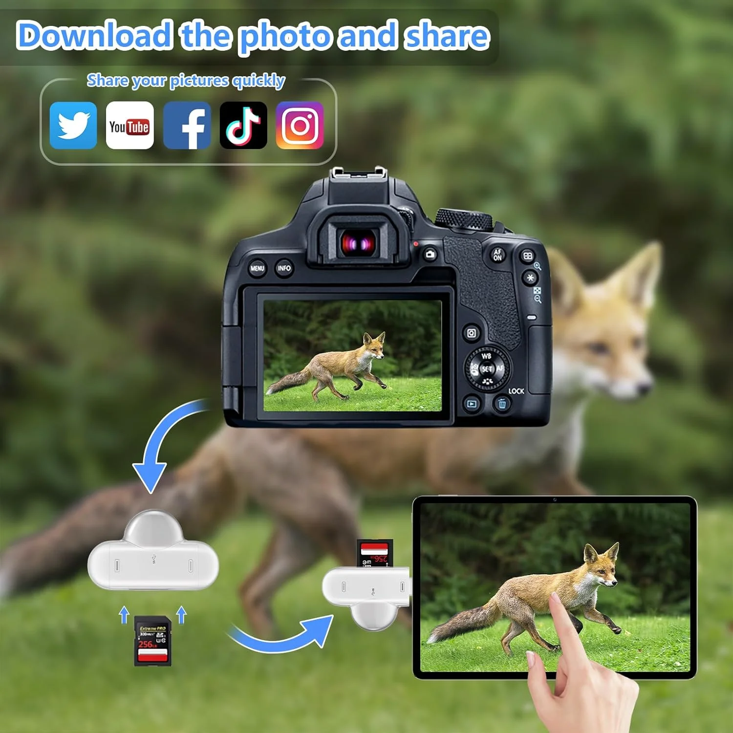 کارت خوان SD برای آیفون، آیپد، اندروید، کامپیوتر مک، دوربین، کارت خوان USB-C به Micro SD 3 در 1، نمایشگر دوربین تریل، آداپتور کارت حافظه قابل حمل SD برای کارت های SD و TF / بدون نیاز به برنامه