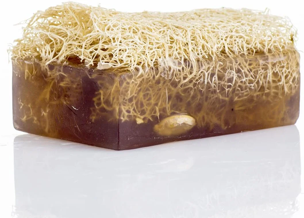 صابون زغال فعال - لایه بردار لوفا - دست ساز، صابون مرطوب کننده با لوفا در داخل | اسکراب صورت و بدن [125 گرم]