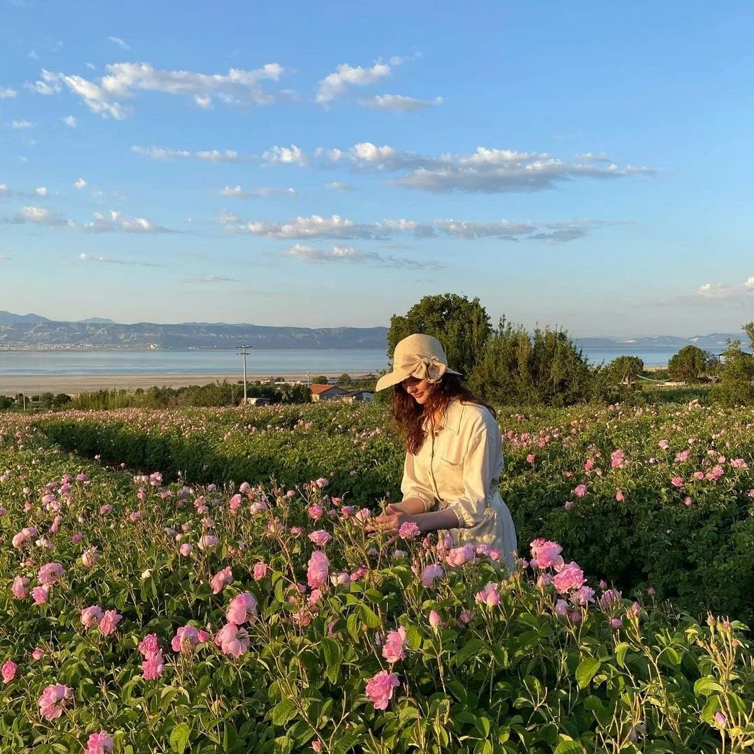 تونر آبرسان صورت گلاب رز Rosense / اسپری صورت گلاب 100 میلی لیتر