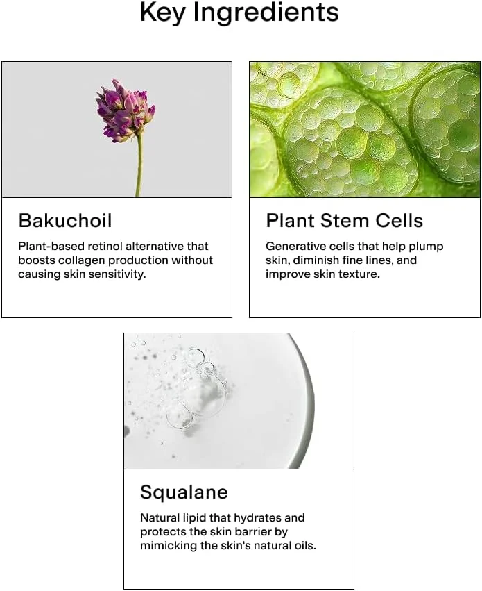 مرطوب کننده سلول بنیادی HYDRAGLOW CLEARstem - باکوچیول + اسکوالن - مرطوب کننده صورت برای پوست جوان - مناسب برای انواع پوست - محصولات مراقبت از پوست صورت - وگان، بدون گلوتن، بدون تست حیوانی - 60 میلی لیتر مرطوب کننده سلول بنیادی HYDRAGLOW CLEARstem - باکوچیول + اسکوالن - مرطوب کننده صورت برای پوست جوان - مناسب برای انواع پوست - محصولات مراقبت از پوست صورت - وگان، بدون گلوتن، بدون تست حیوانی - 60 میلی لیتر