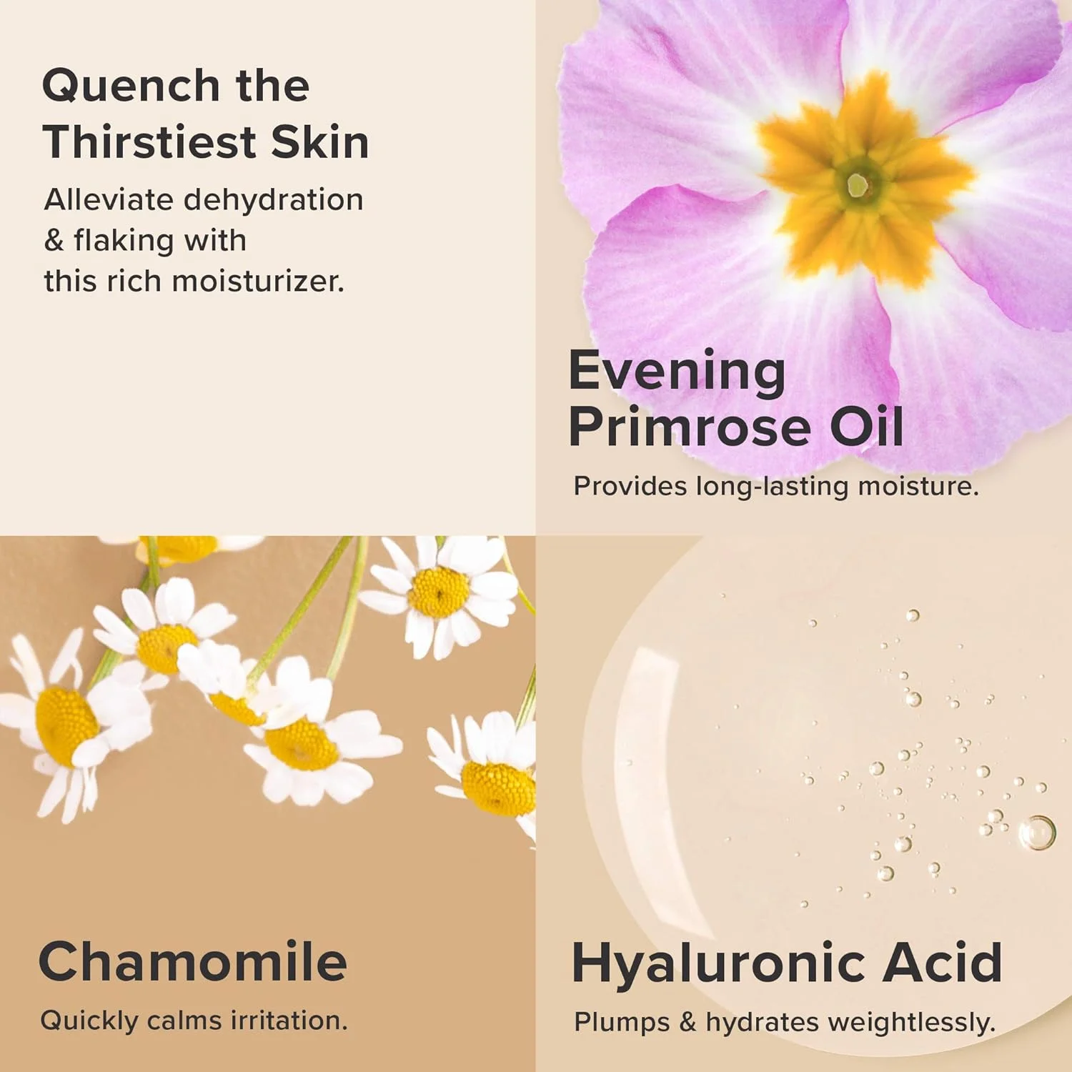 کرم مرطوب کننده و ترمیم کننده پوست Paula's Choice SKIN RECOVERY برای قرمزی پوست - 59 میلی لیتر