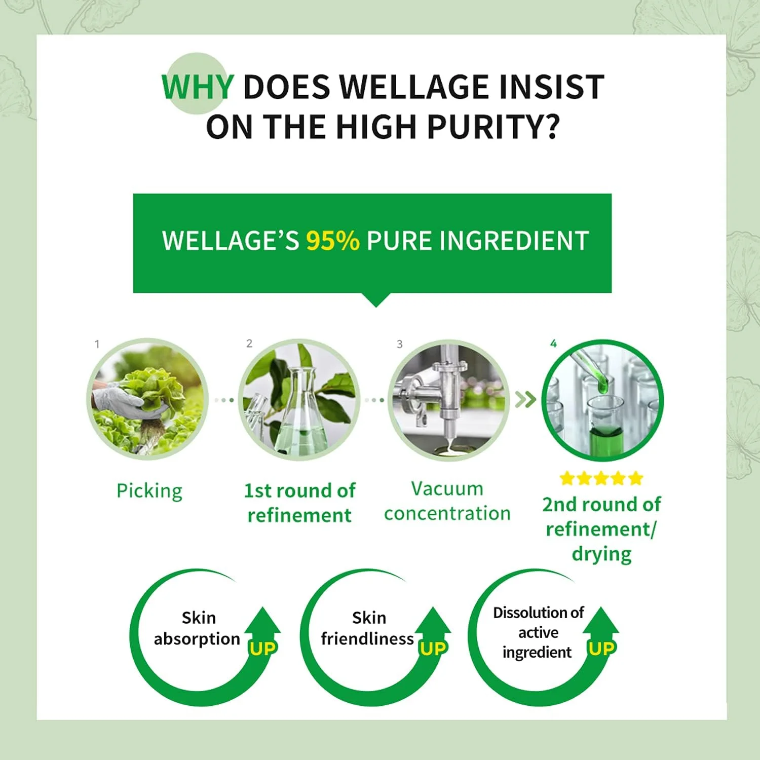 کرم تسکین دهنده سیکا WELLAGE - مرطوب کننده آرامش بخش صورت، مادکاسوساید با خلوص بالا به همراه سنتلا آسیاتیکا پانتنول - آرام کننده پوست حساس، ضد قرمزی و رزاسه، ضد پوسته پوسته شدن و لک، 80 میلی لیتر