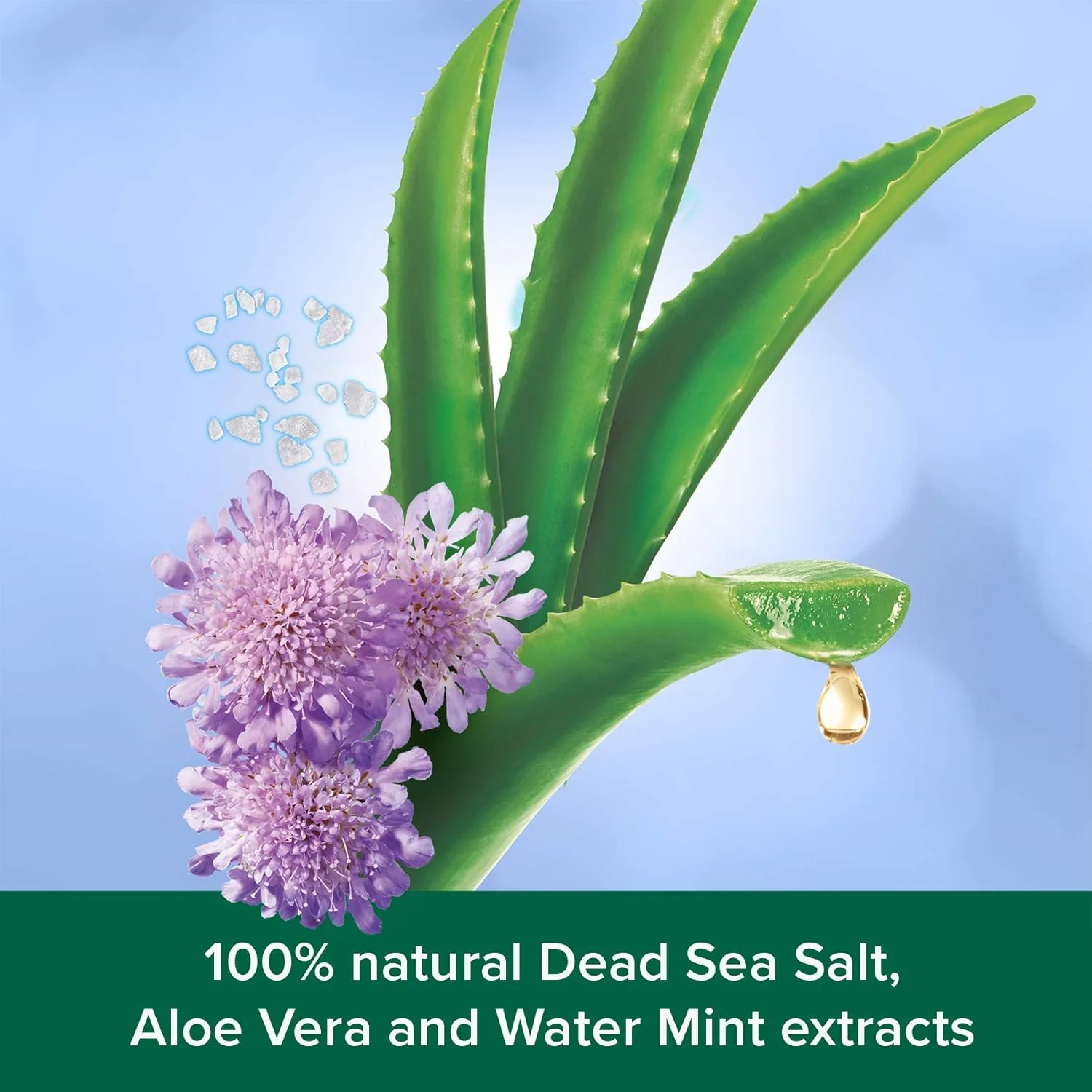 شاور ژل پالمولیو مدل Aroma Sensations Feel The Massage، ۵۰۰ میلی لیتر