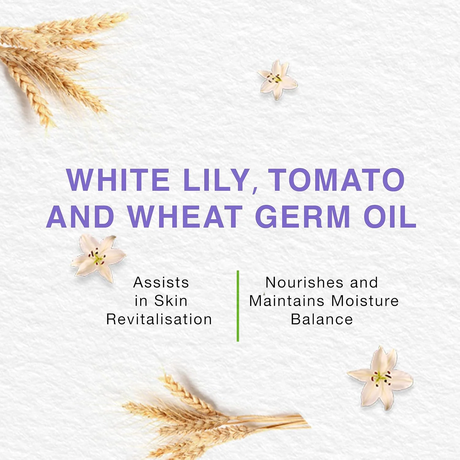 کرم شب احیا کننده هیمالیا هربالز 50 گرم