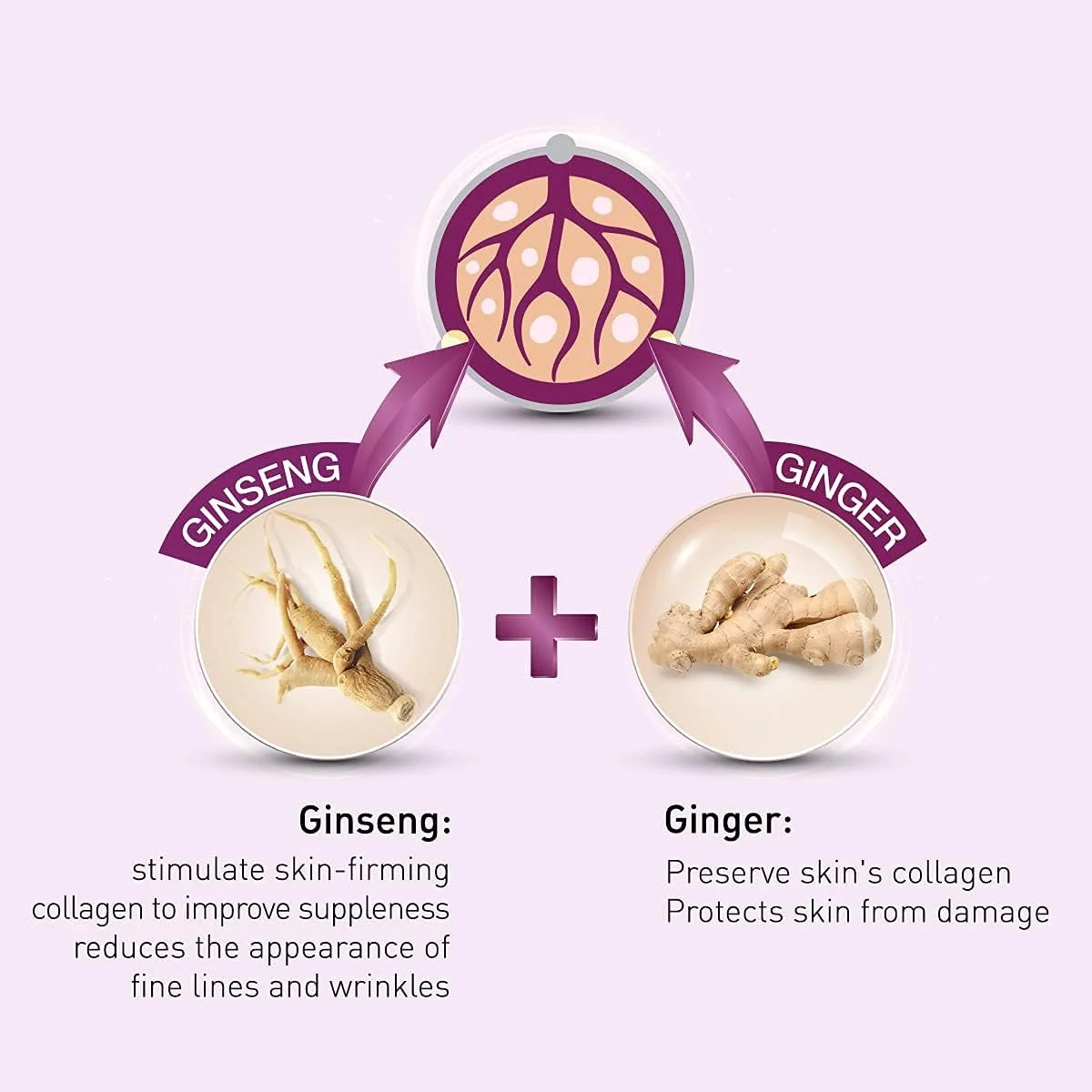 کرم شب مغذی ضد پیری لوتوس هربالز مدل Youthrx، سفید