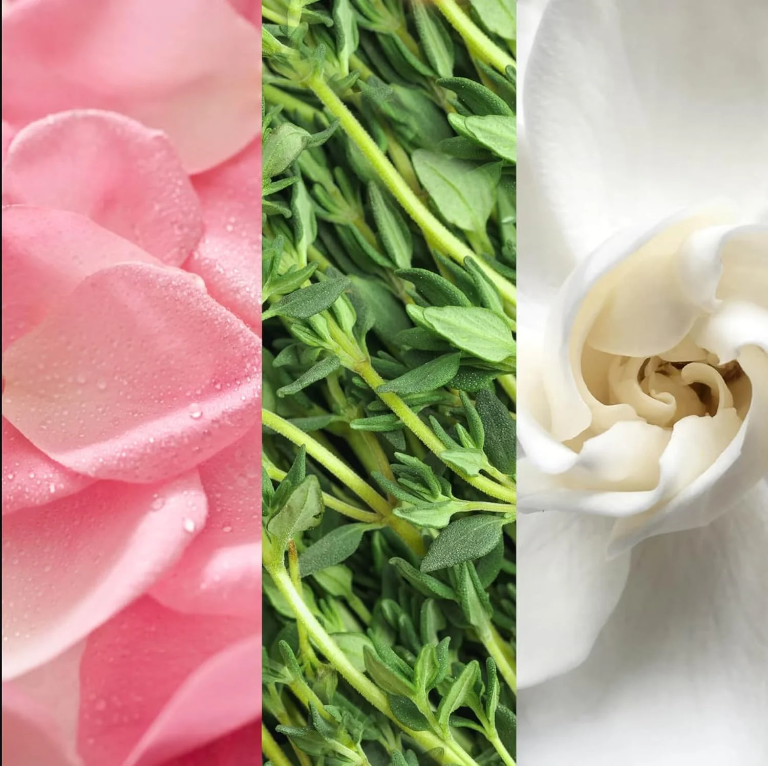 اسپری صورت ماریو بادسکو با آلوئه، گیاهان و گلاب (236 میلی لیتر)