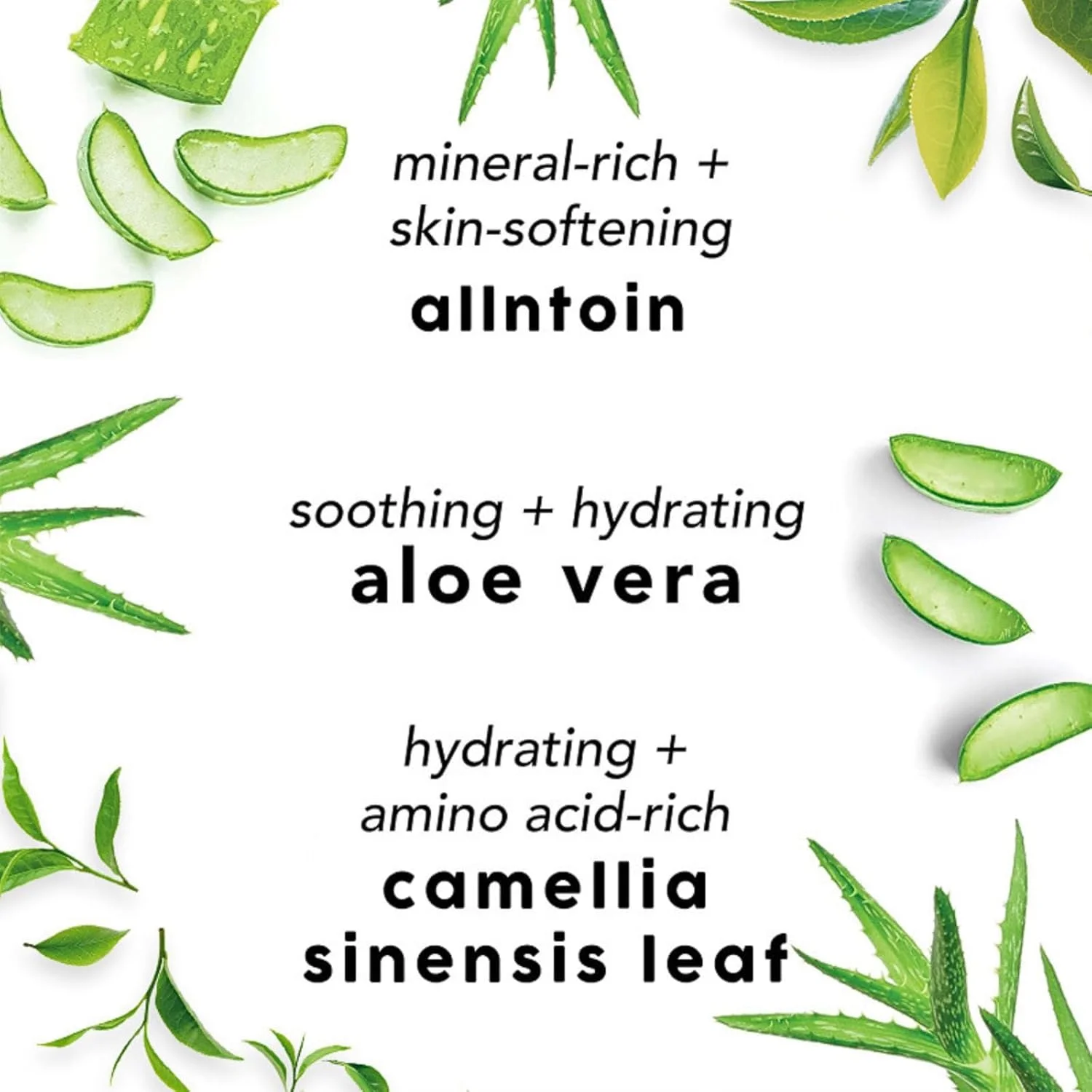 اسپری آلوئه ورا و چای سبز برای صورت، تونر آبرسان و مرطوب کننده، اسپری طراوت بخش و تثبیت کننده آرایش، تسکین دهنده و ترمیم کننده پوست خشک، اسپری سبک صورت برای استفاده روزانه، ۱۰۰ میلی لیتر