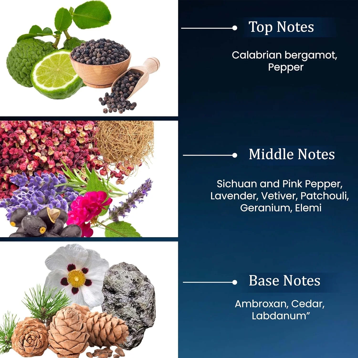 ادکلن مردانه سیمفونی پرفیوم SAVAGE، ۱۰۰ میلی لیتر، رایحه ای لوکس، ماندگاری بالا، چوبی، معطر، طراوت مردانه، اسطوخودوس، رایحه خاص ادکلن مردانه سیمفونی پرفیوم SAVAGE، ۱۰۰ میلی لیتر، رایحه ای لوکس، ماندگاری بالا، چوبی، معطر، طراوت مردانه، اسطوخودوس، رایحه خاص