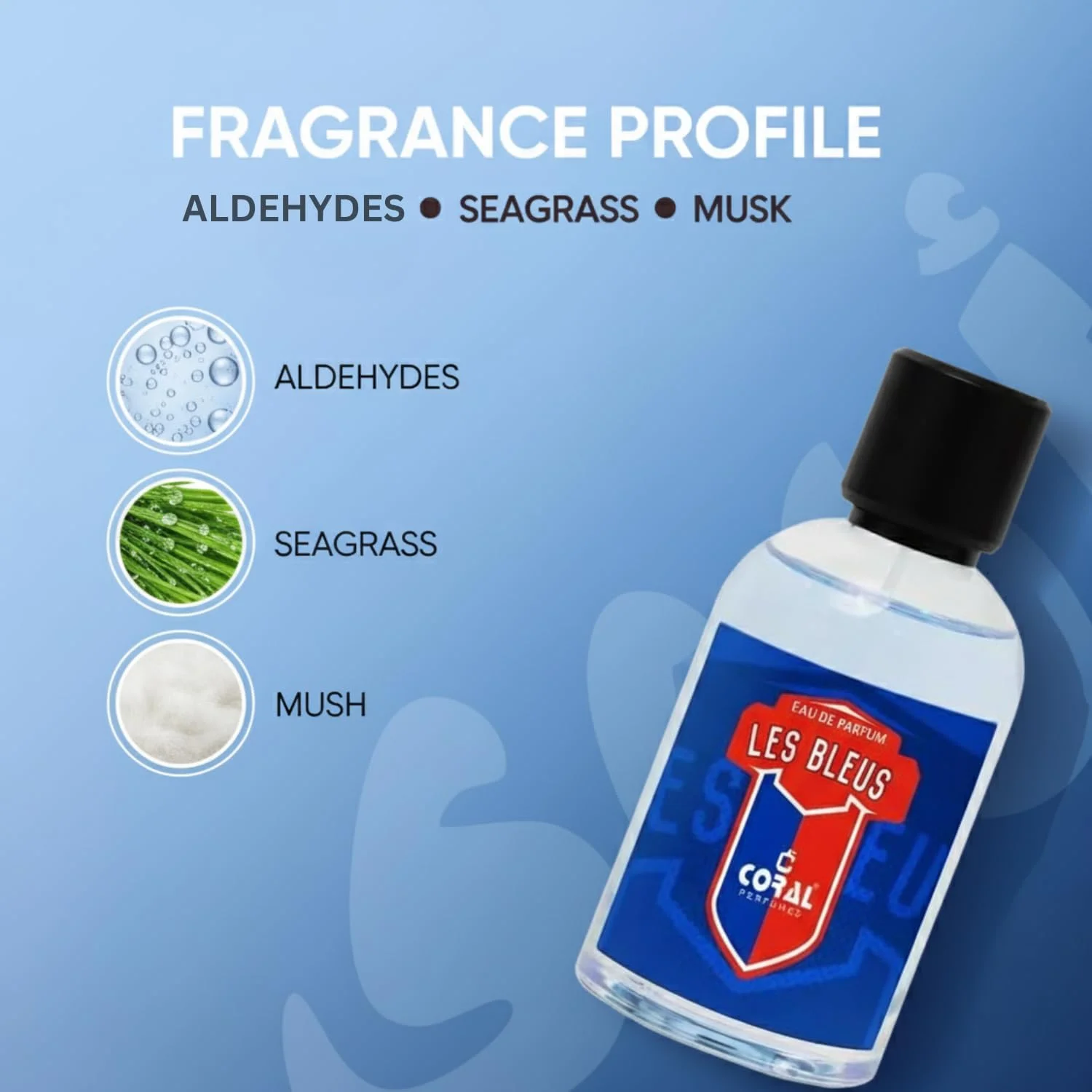 ادکلن مردانه کورال لس بلوز | رایحه لوکس و ماندگار | رایحه مرکباتی تازه و تند با آکوردهای چوبی و مشک‌دار ادو پرفیوم – 100 میلی‌لیتر | ساخت دبی توسط کورال پرفیوم