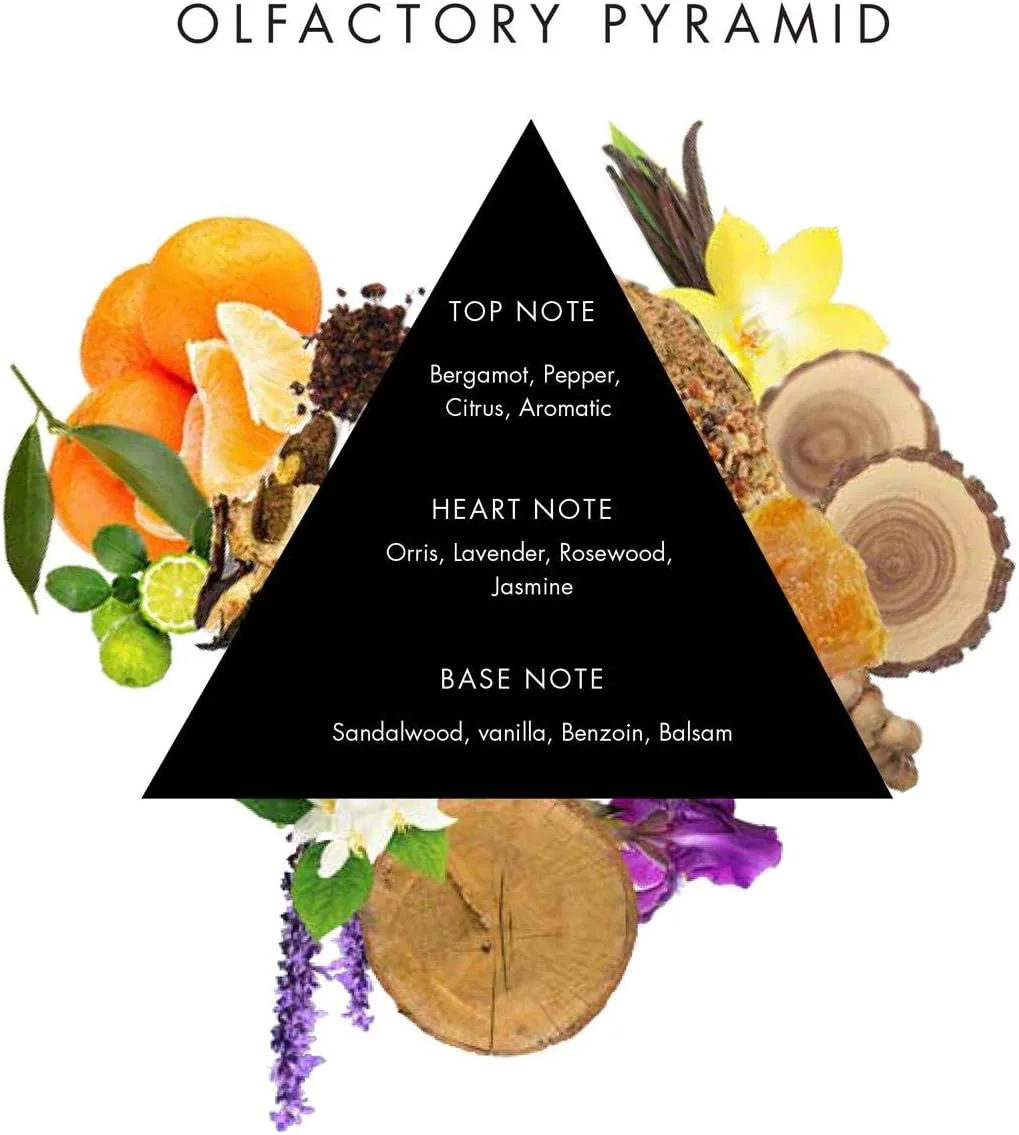 رایحه ملایم زنبق از کالکشن الیت کریشن شگفت انگیز برای مردان - ادو پرفیوم، 80 میلی لیتر