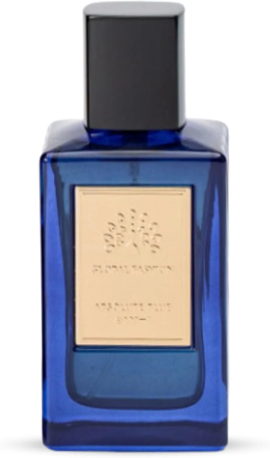 ادکلن مردانه - عطر لوکس و با طراوت، با ماندگاری طولانی، الهام گرفته از اقیانوس، شیک و مجلل، ایده آل برای تمام فصول، مناسب برای آقایان (آبی مطلق)