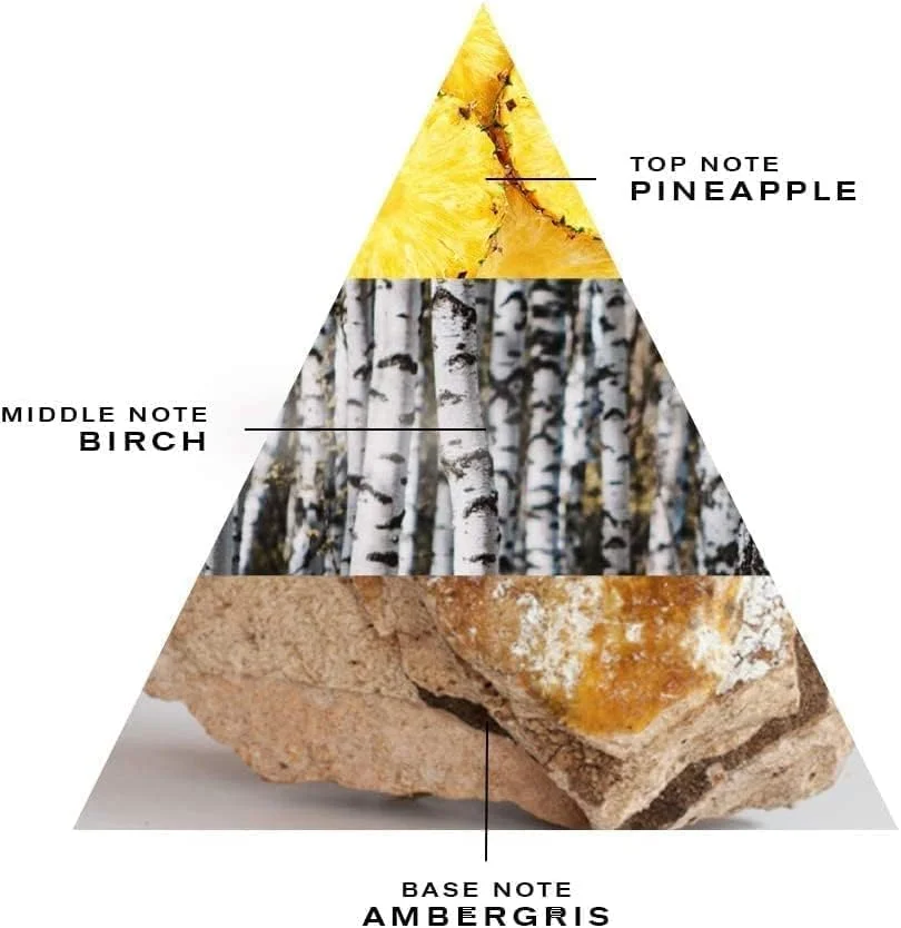 ادو پرفیوم مردانه کرید اونتوس - 100 میلی لیتر