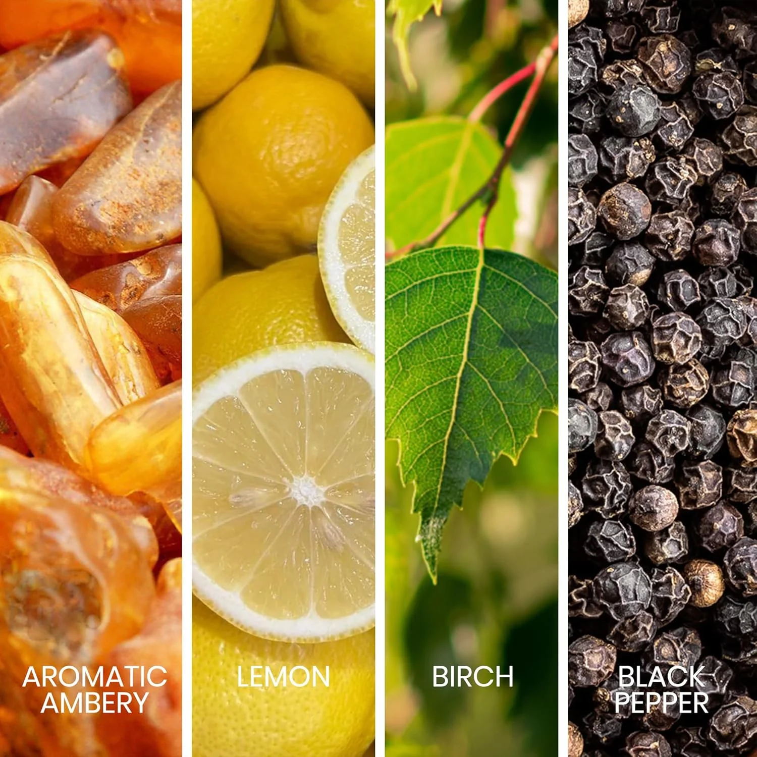 ادکلن مردانه ساپیل مدل Intense Noir حجم 100 میل، عطر لوکس مقرون به صرفه، رایحه کهربایی معطر با نت های لیمو، توس و ترنج، عطرهای ترکیبی جسورانه برای مردان ادکلن مردانه ساپیل مدل Intense Noir حجم 100 میل، عطر لوکس مقرون به صرفه، رایحه کهربایی معطر با نت های لیمو، توس و ترنج، عطرهای ترکیبی جسورانه برای مردان