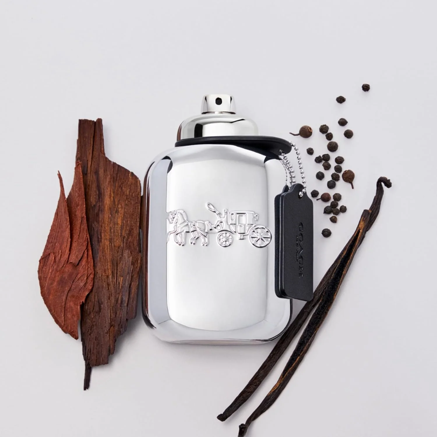 کوچ - ادو پرفیوم پلاتینیوم مردانه، 60 میلی لیتر (Cc007A02)