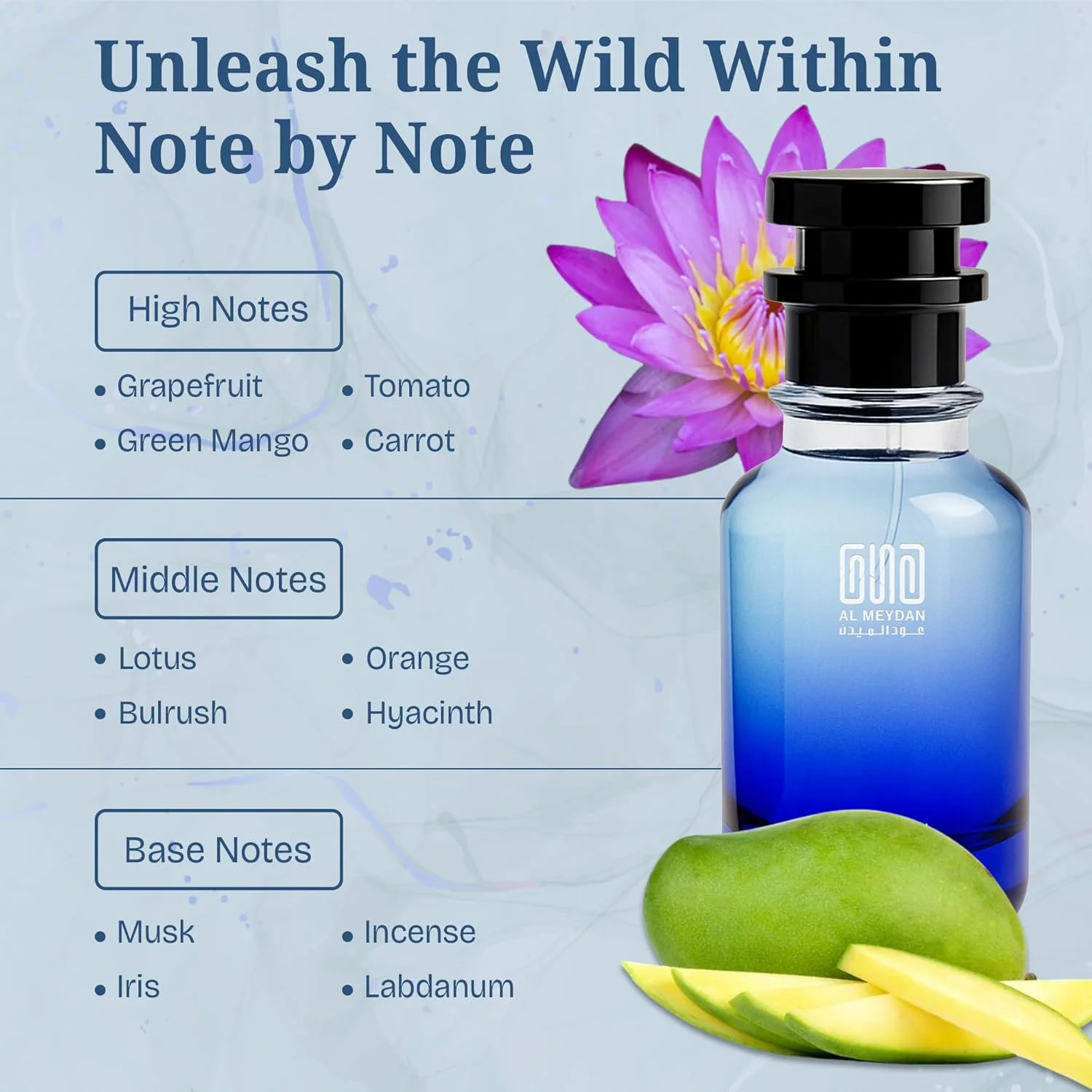 عطر روغنی برای زنان و مردان - رایحه ای از آن جردن سور له نول - عطر روغنی مرکباتی و سبز تازه با انبه، لوتوس و مشک - رایحه ای بدون الکل، ماندگار و مناسب برای هر دو جنس (30 میلی لیتر)