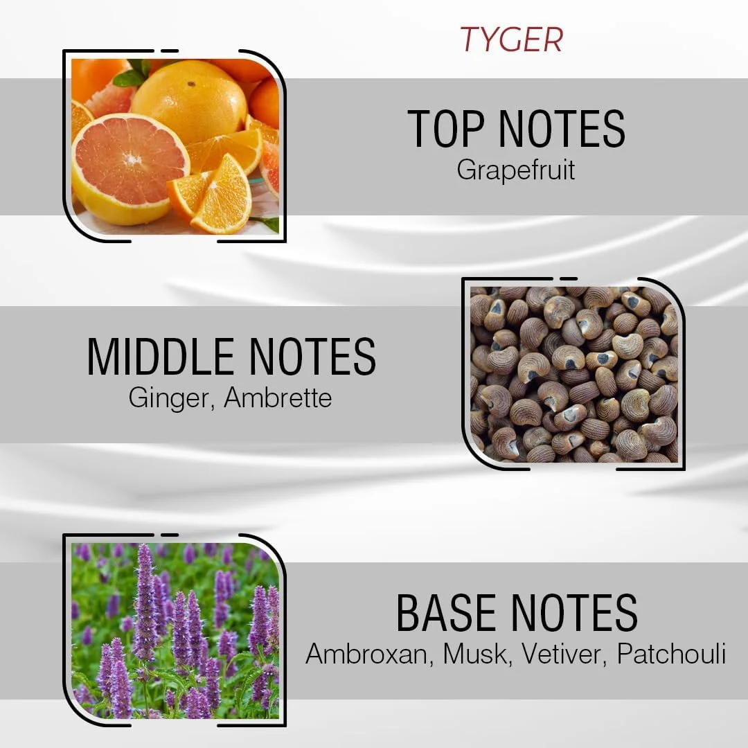 عطر روغنی رولی تایگر унисекс | رایحه مرکبات، کهربا و مشک | عطر متمرکز بدون الکل از فرانسه - 10 میلی لیتر | رایحه تازه و ماندگار از Coral Perfumes