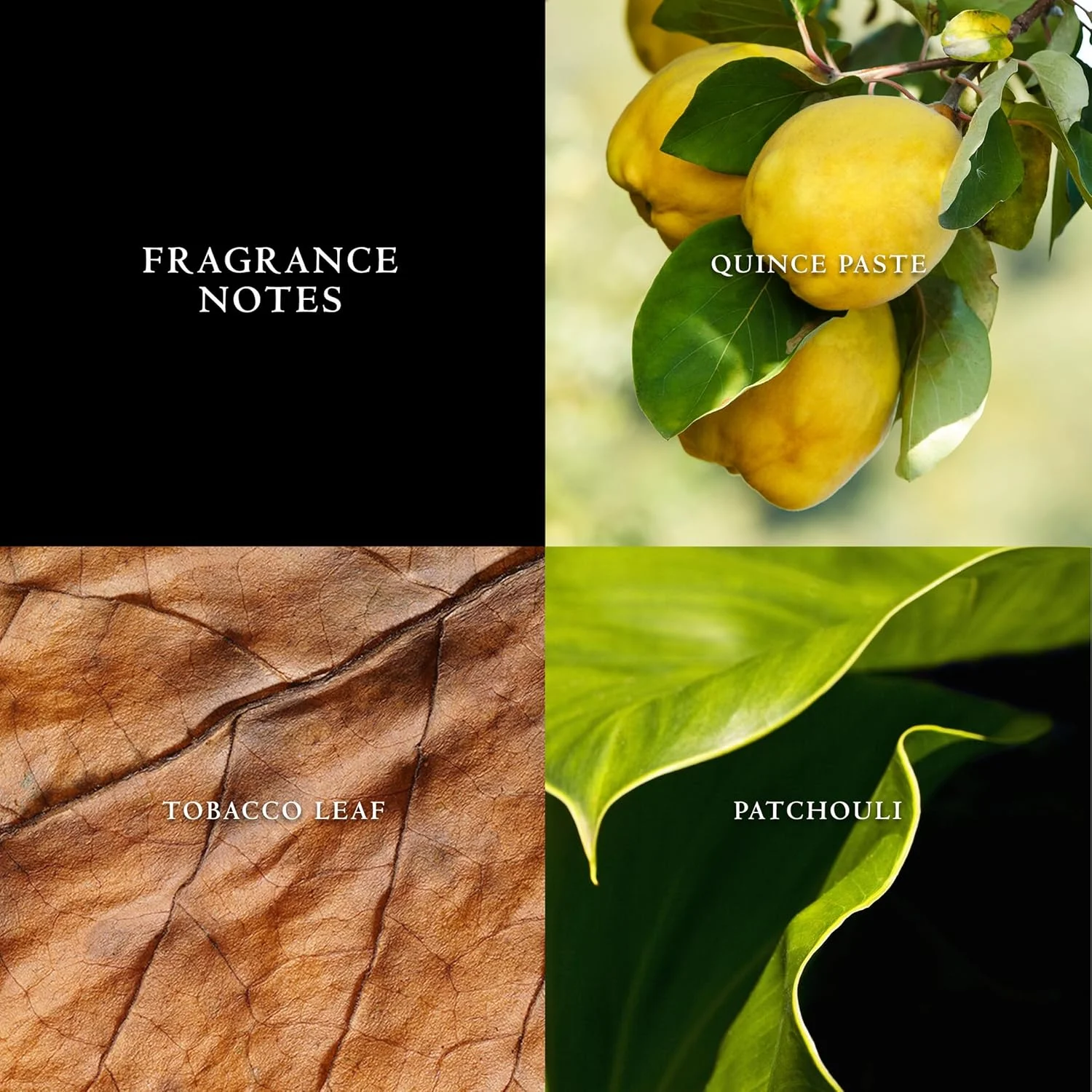 ادکلن مردانه جان وارواتوس مدل Vintage Eau De Toilette حجم 125 میلی لیتر