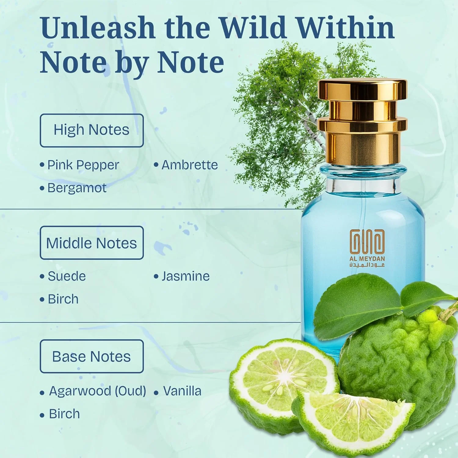 عطر روغنی برای زنان و مردان – رایحه ای از عود سافایر – عطر روغنی دودی چوبی گلی با رایحه چرم جیر، عود و وانیل – ماندگاری طولانی و بدون الکل مناسب برای هر دو جنس (200 میلی لیتر)