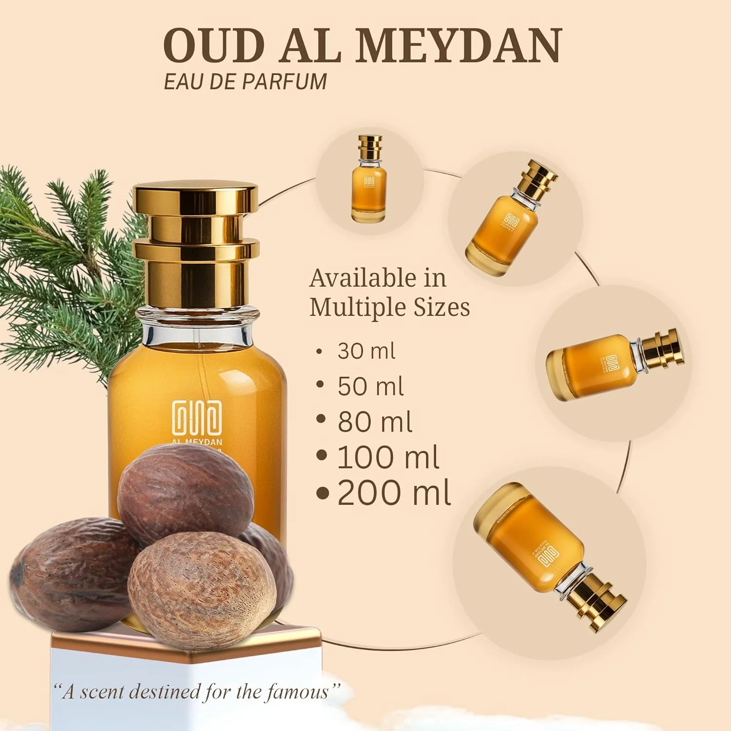 عطر روغنی زنانه و مردانه - رایحه ای از مستی - رایحه ای بدون الکل و مناسب برای هر دو جنس با قهوه، وانیل، ادویه جات، نعناع هندی و کارامل - رایحه گرم و لذیذ ماندگار (50 میلی لیتر)