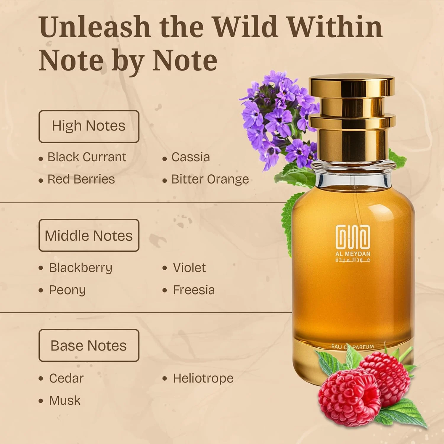 عطر روغنی زنانه – رایحه ای از عطر ED Perfume Two – روغن عطر میوه ای و گلی بدون الکل با رایحه انگور فرنگی سیاه، یاس و مشک – ماندگاری طولانی 8-10 ساعت (50 میلی لیتر)