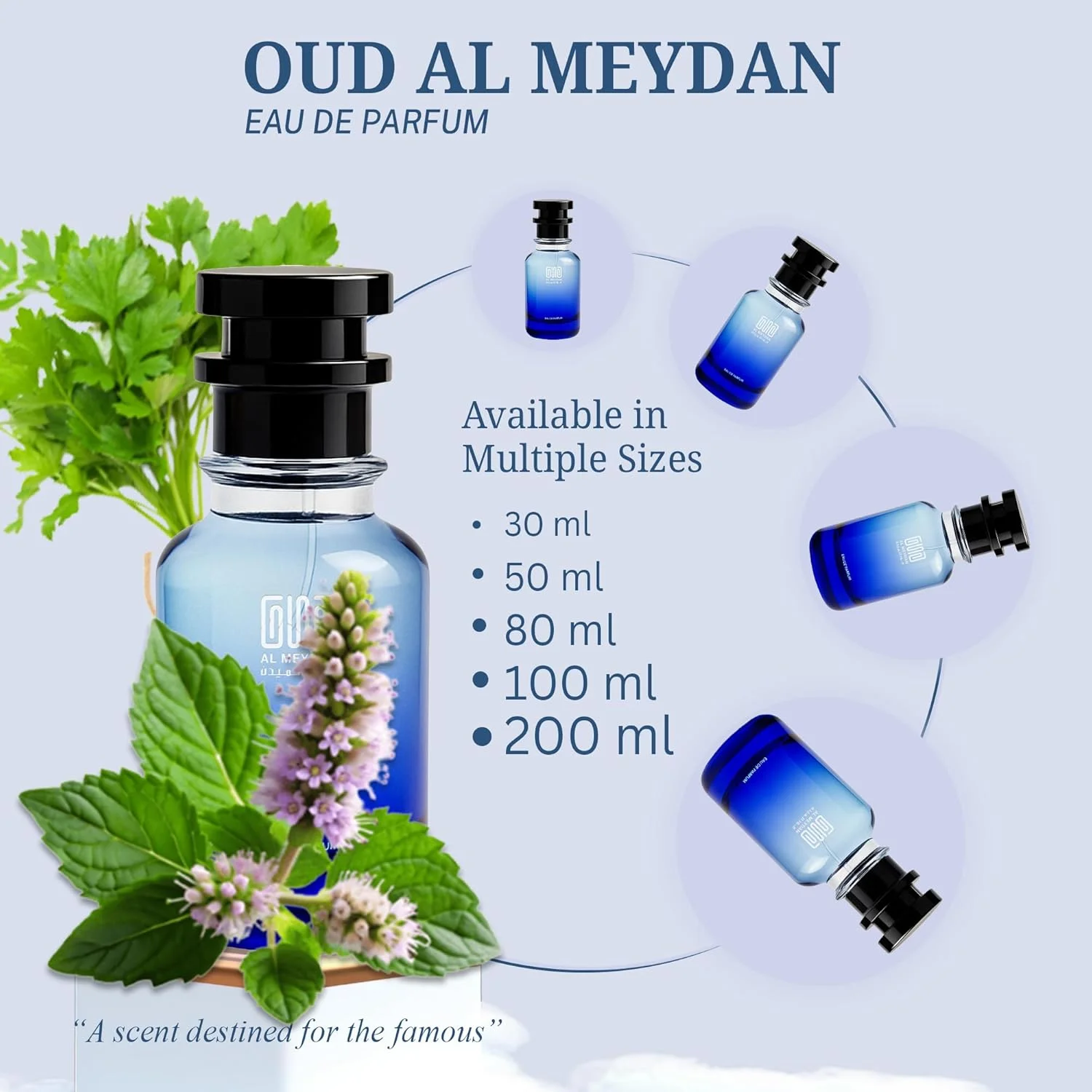 عطر روغنی زنانه و مردانه – رایحه ای از کافی روسه – عطر بدون الکل و унисекс با رایحه قهوه، رز، زعفران و نعناع هندی – رایحه گرم و گلی ماندگار (30 میلی لیتر)