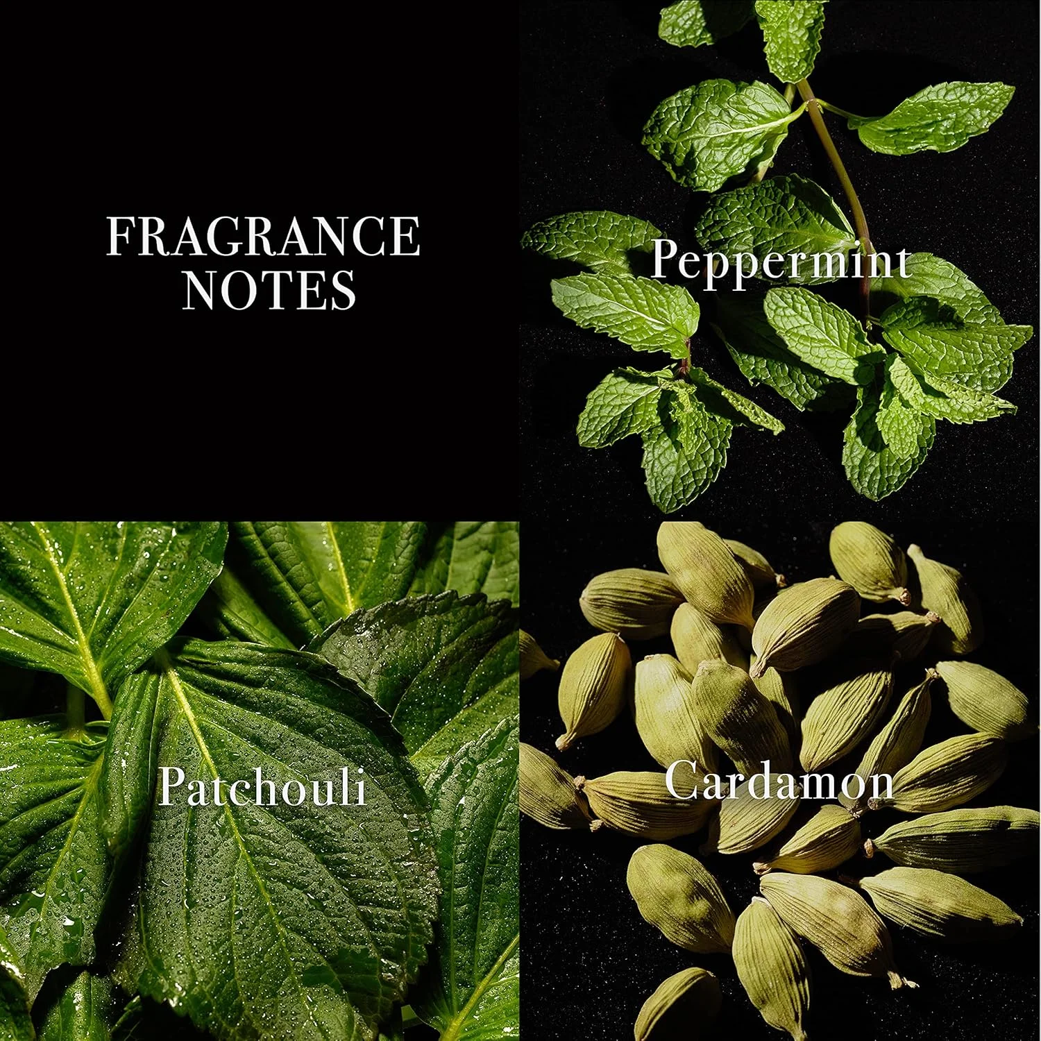 ادکلن مردانه جان وارواتوس ایکس ایکس ایندیگو بلو ادو تویلت 75 میلی لیتر ادکلن مردانه جان وارواتوس ایکس ایکس ایندیگو بلو ادو تویلت 75 میلی لیتر