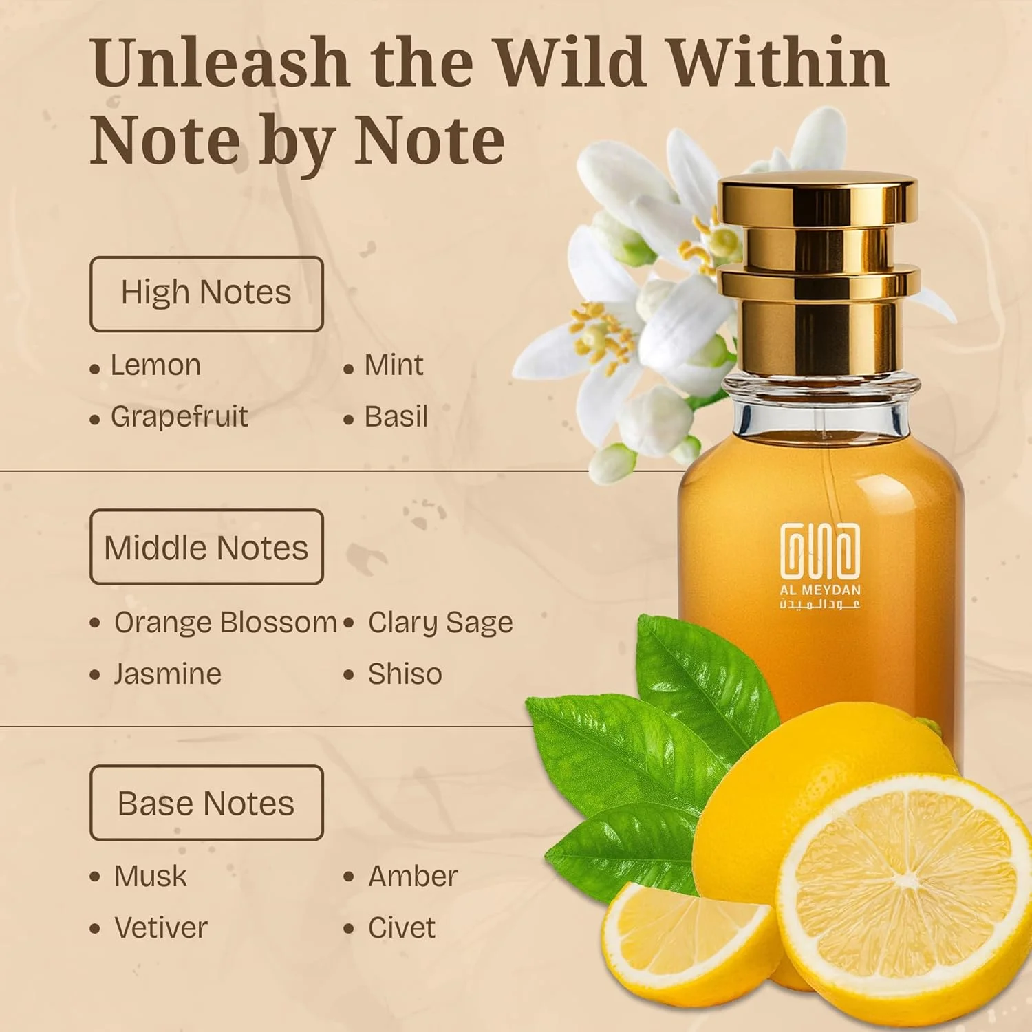 عطر روغنی زنانه – رایحه ای از ماسک سیلک – عطر وانیلی پودری ملایم با رایحه گل برف و تولو بالزام – ماندگاری طولانی و بدون الکل (100 میلی لیتر)