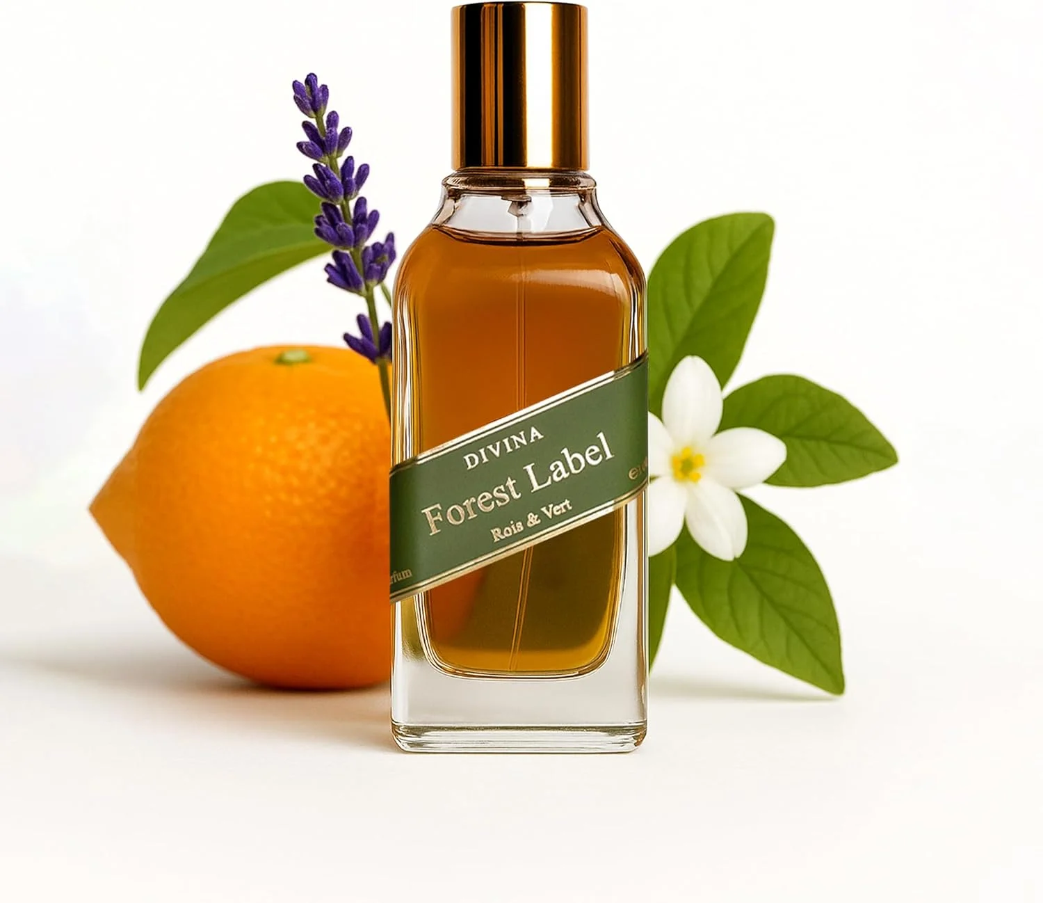 ادو پرفیوم زنانه Forest Label حجم 100 میلی لیتر | عطر ماندگار برای زنان | عطر لوکس عربی با رایحه وانیل، کهربا و گل های سفید | رایحه شیرین و تازه و شیک از Divina Perfumes