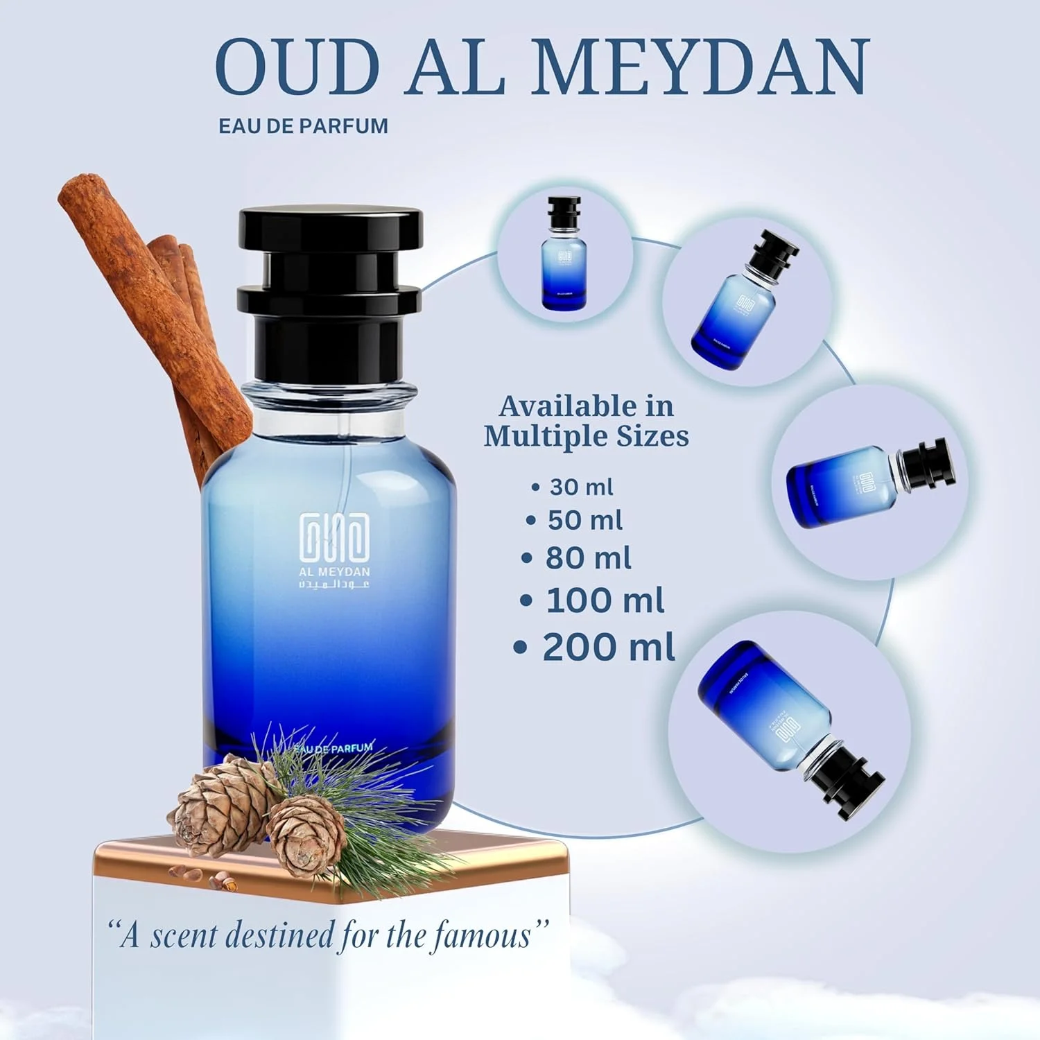 آفرینش الهام گرفته از تخیل - عطر روغنی ماندگار برای مردان - رایحه مرکبات تازه، گیاهی و چوبی - رایحه امضای روزانه ظریف