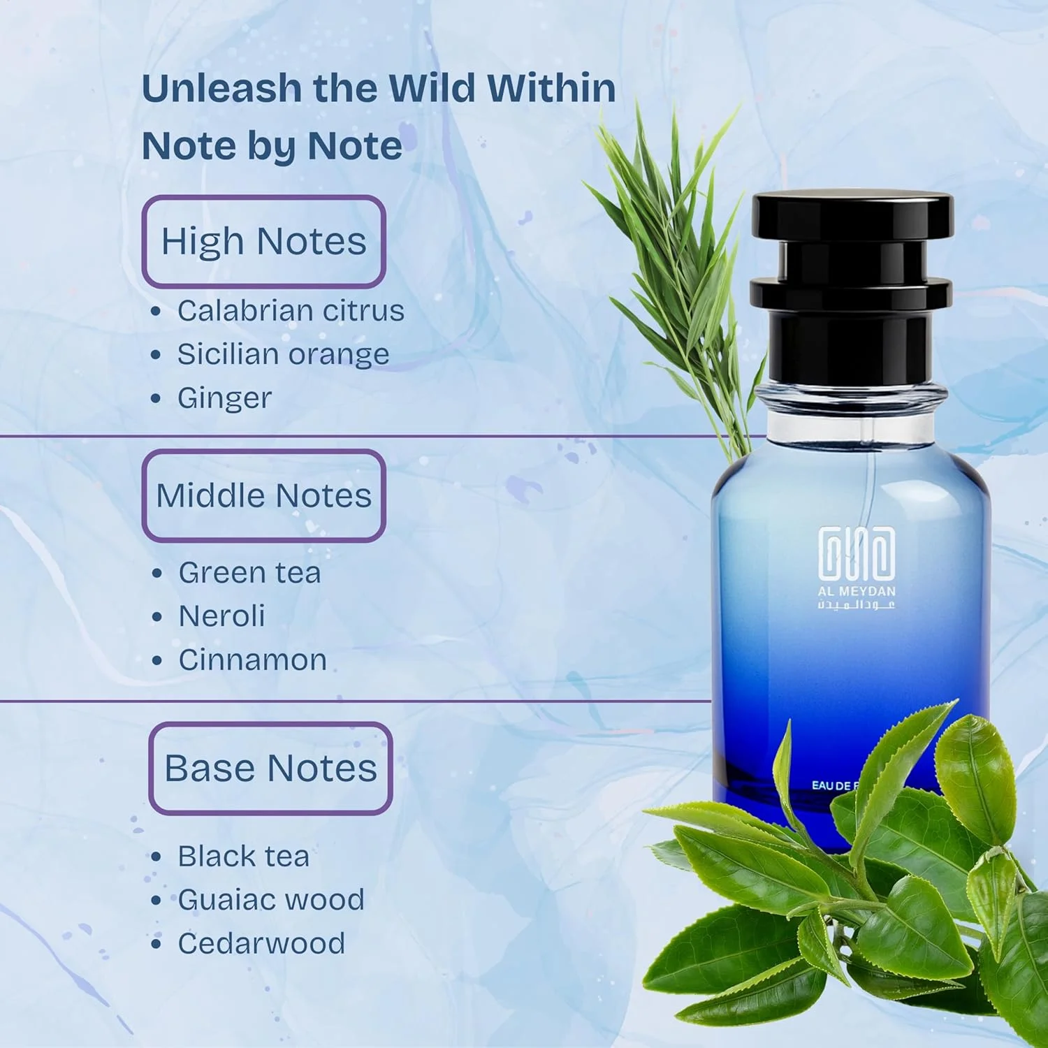 آفرینش الهام گرفته از تخیل - عطر روغنی ماندگار برای مردان - رایحه مرکبات تازه، گیاهی و چوبی - رایحه امضای روزانه ظریف