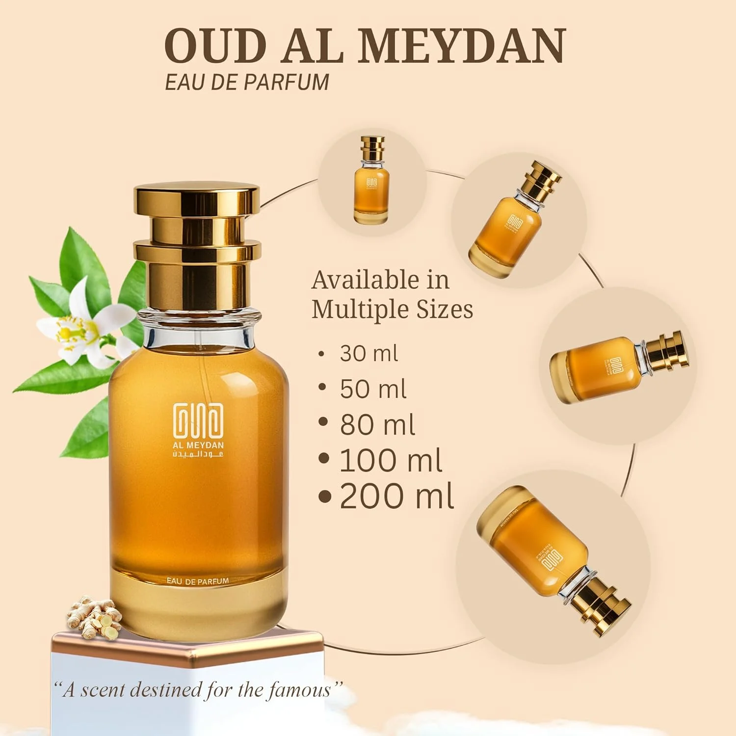 عطر روغنی مردانه – رایحه ای از ترکیب مزاج – روغن عطر مرکباتی و چوبی بدون الکل با سیترون، زنجبیل و آمبروکسان – ماندگاری طولانی 10-12 ساعت (200 میلی لیتر)