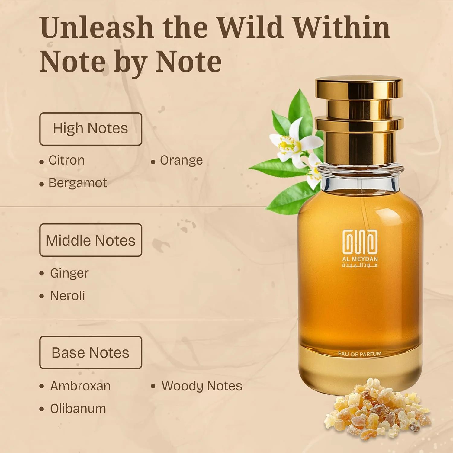 عطر روغنی مردانه – رایحه ای از ترکیب مزاج – روغن عطر مرکباتی و چوبی بدون الکل با سیترون، زنجبیل و آمبروکسان – ماندگاری طولانی 10-12 ساعت (200 میلی لیتر)