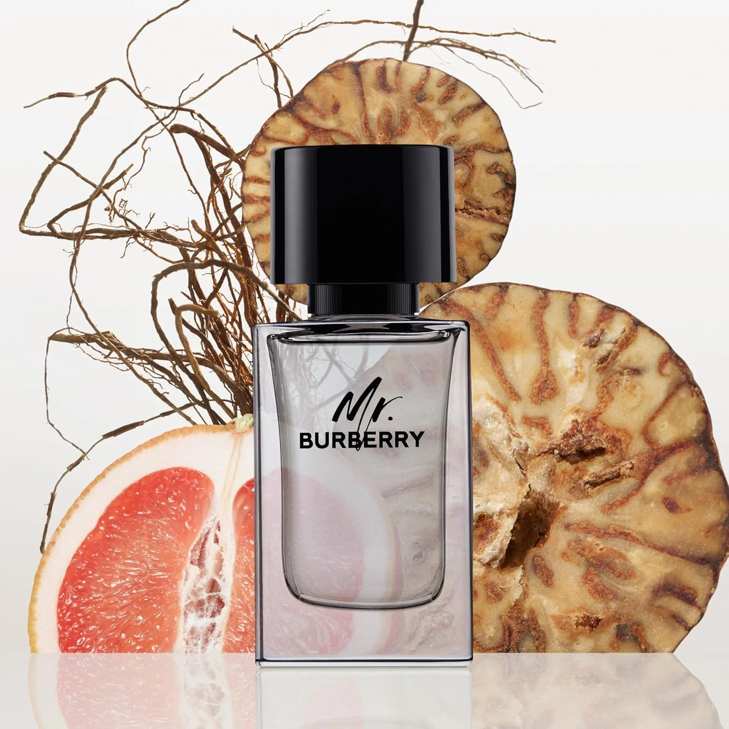 ادکلن مردانه Mr. Burberry، حجم 100 میلی لیتر ادکلن مردانه Mr. Burberry، حجم 100 میلی لیتر
